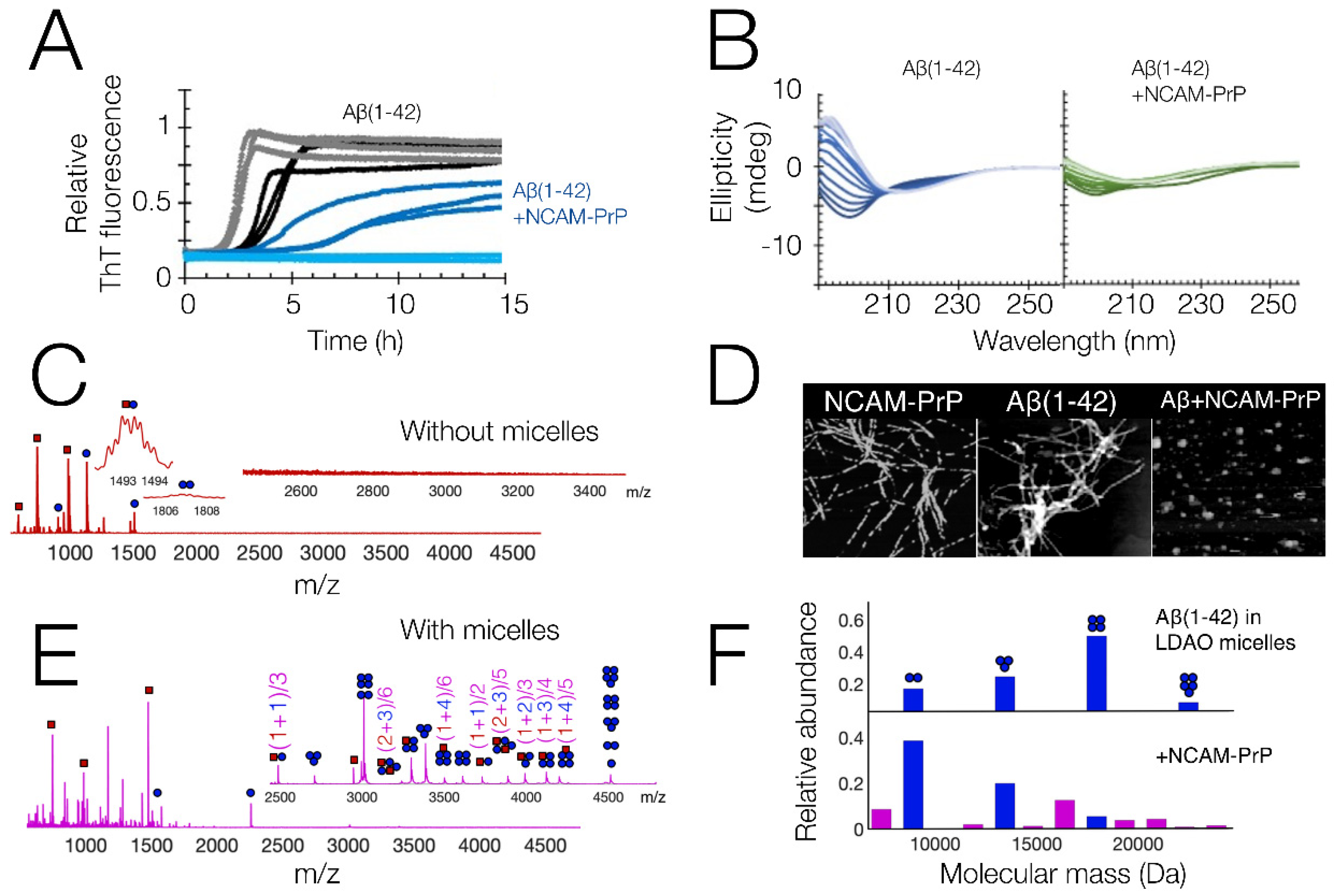 Pharmaceutics 14 00823 g002