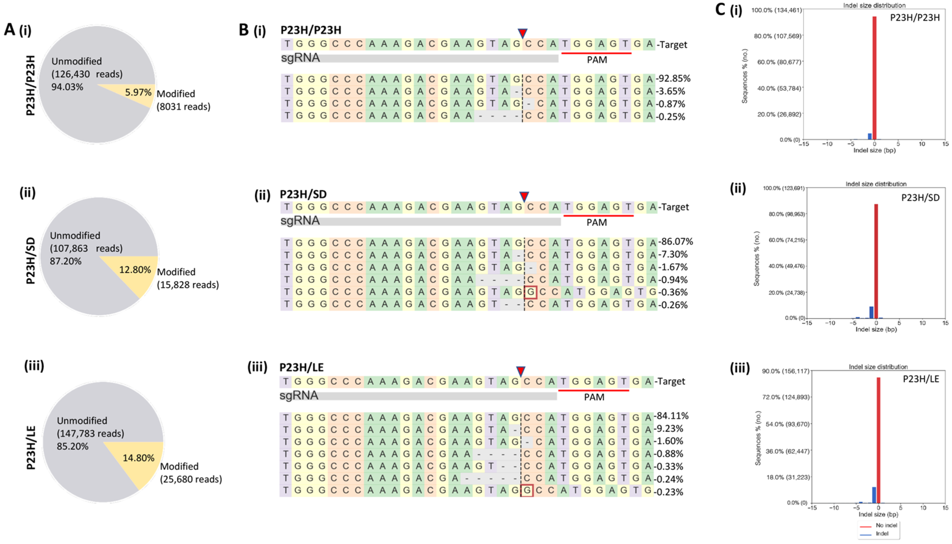 Pharmaceutics 14 00824 g003