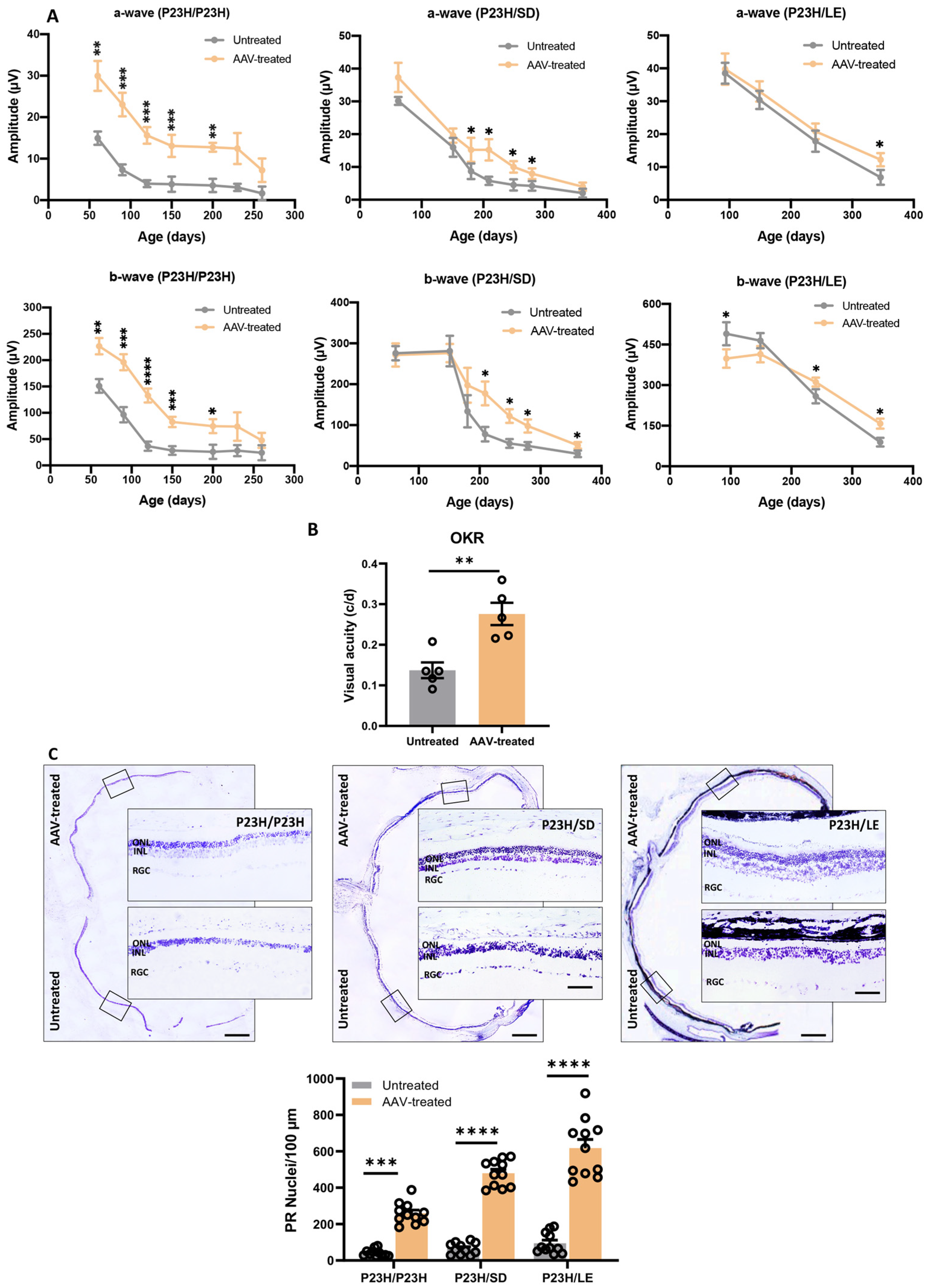 Pharmaceutics 14 00824 g004