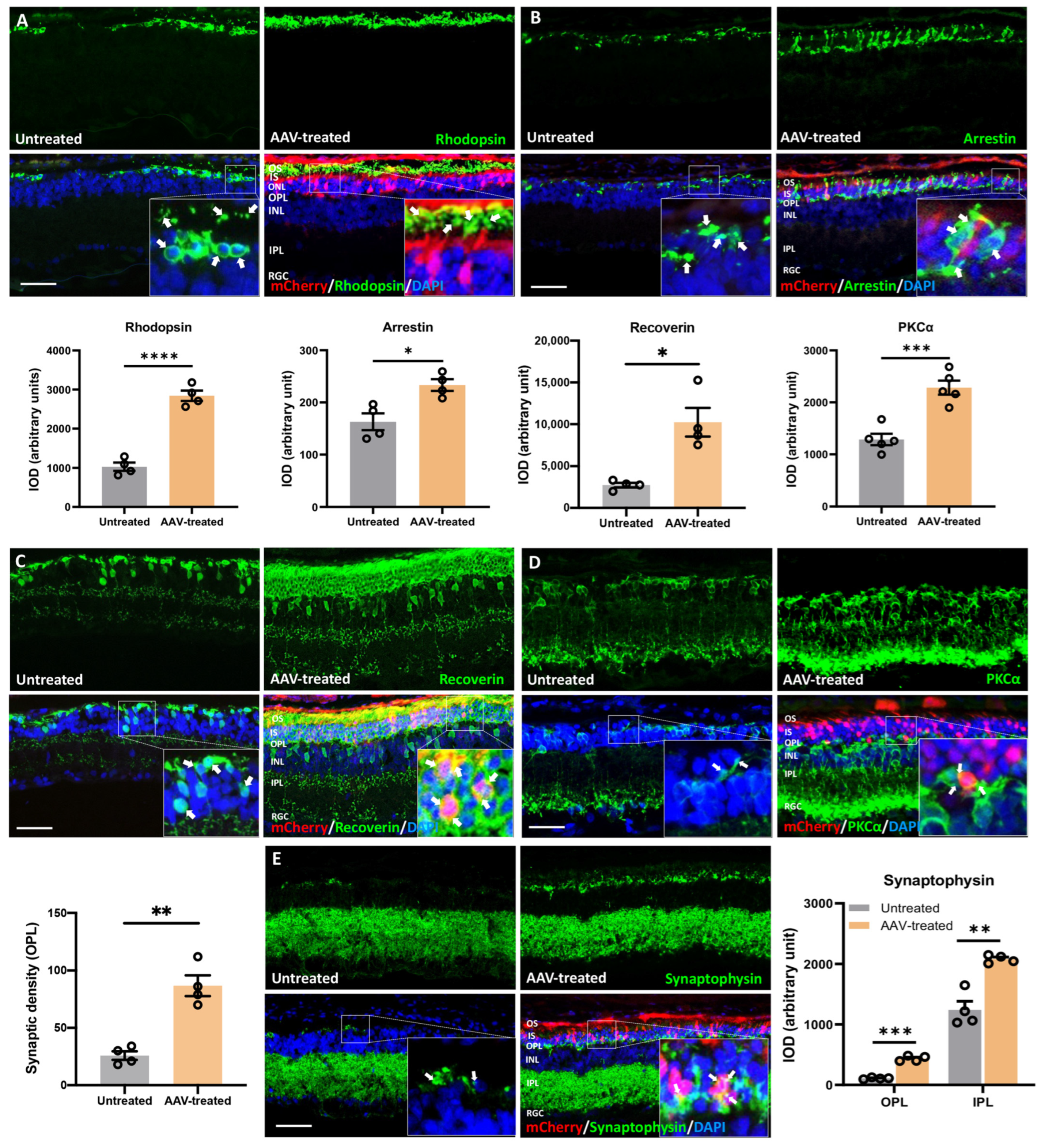 Pharmaceutics 14 00824 g005