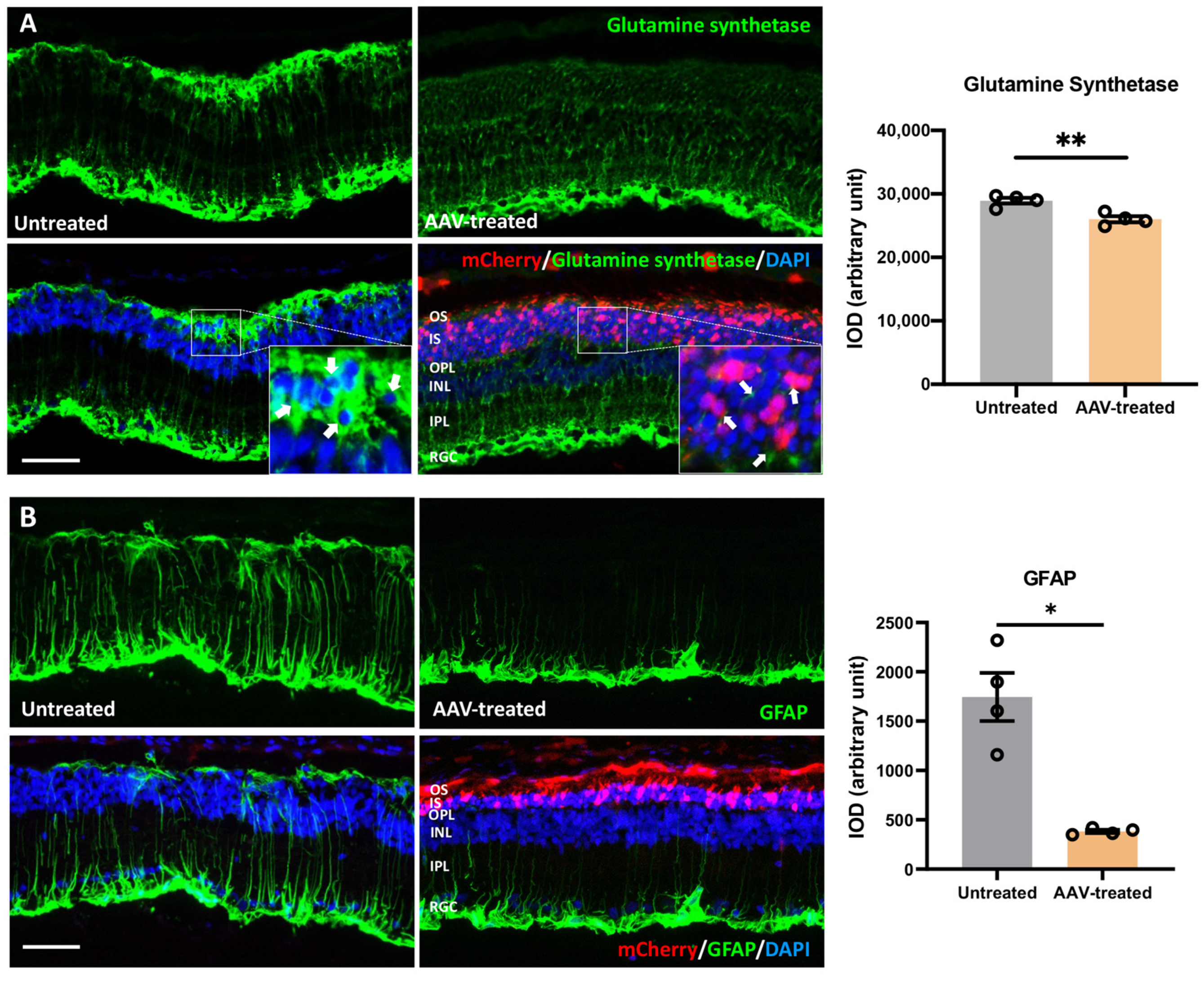 Pharmaceutics 14 00824 g006