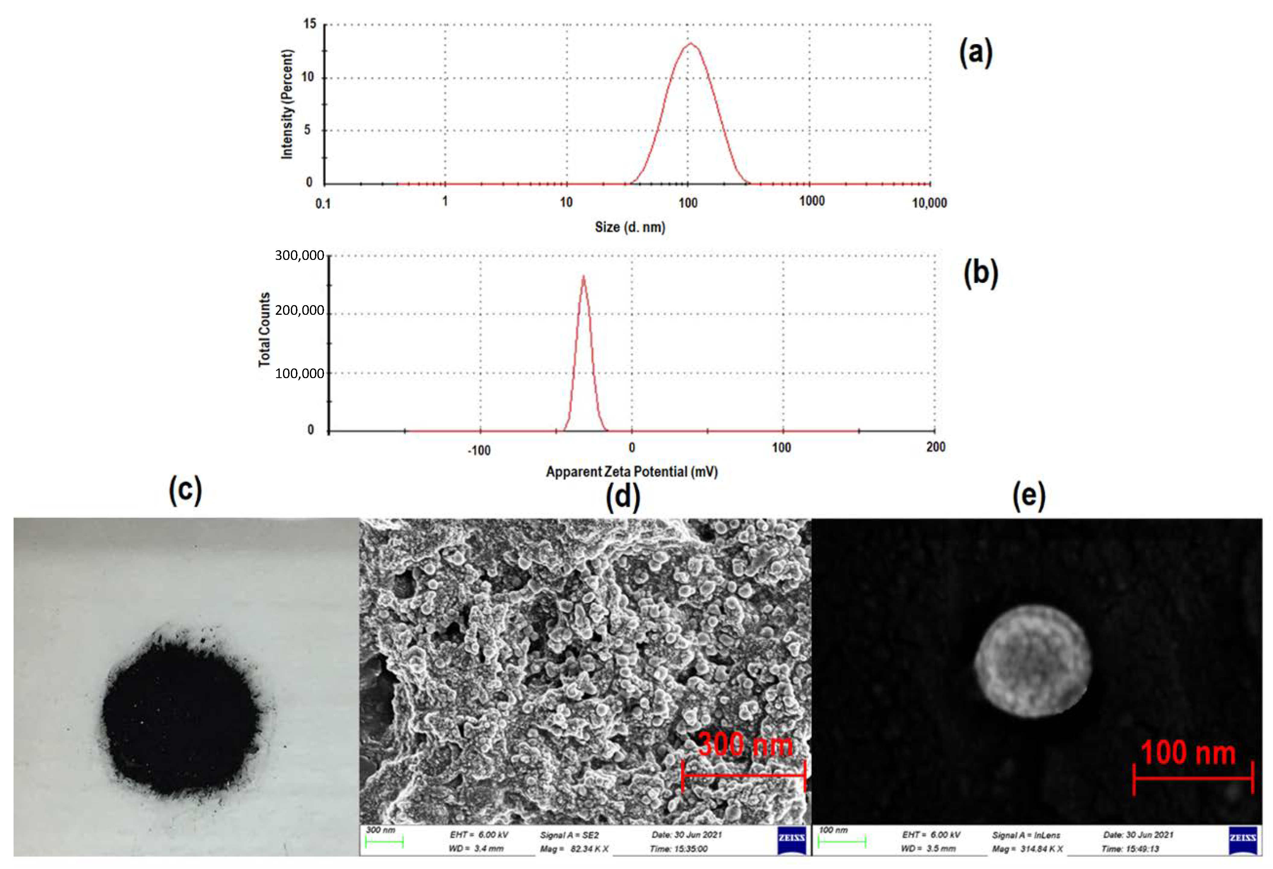 Pharmaceutics 14 00829 g001