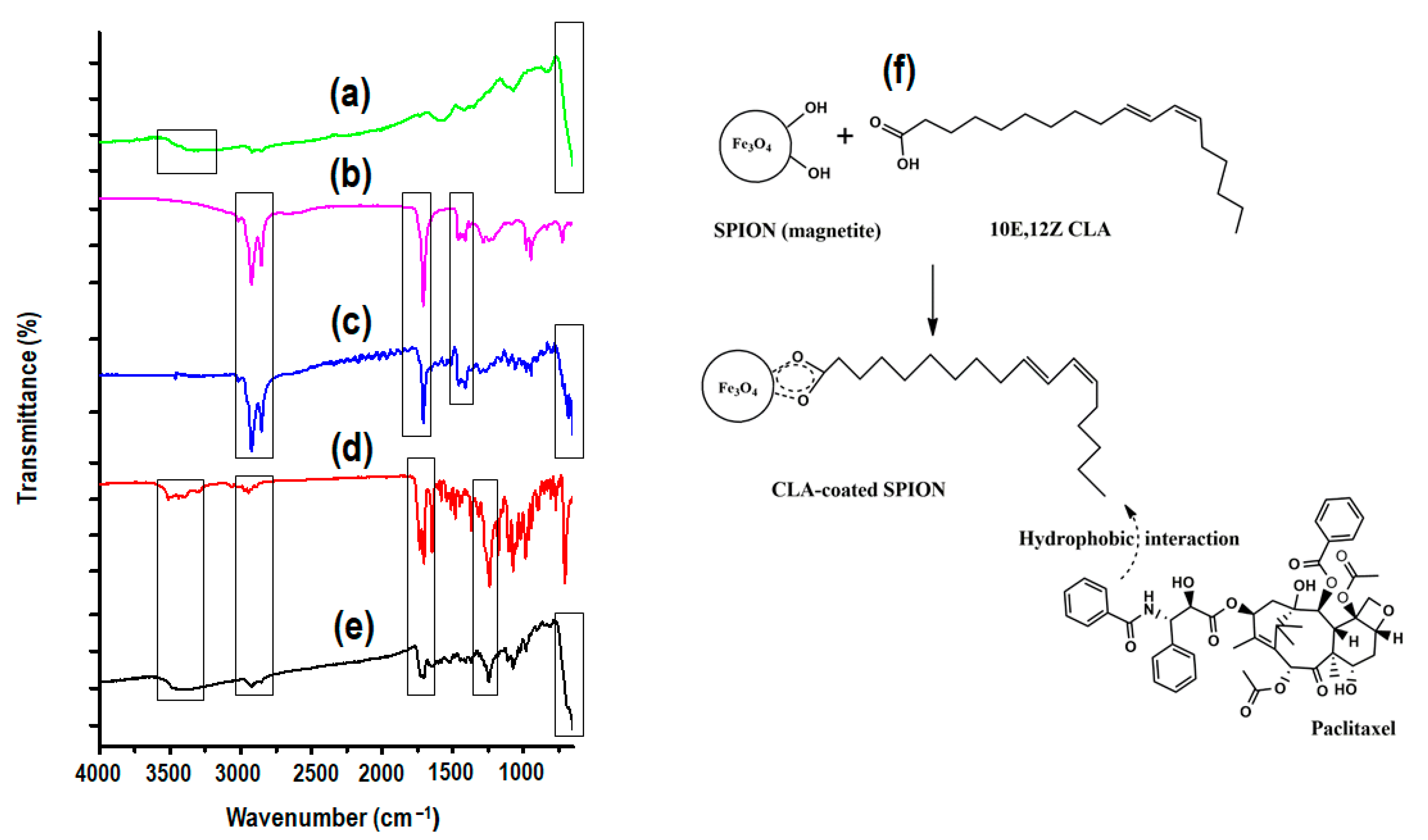 Pharmaceutics 14 00829 g002