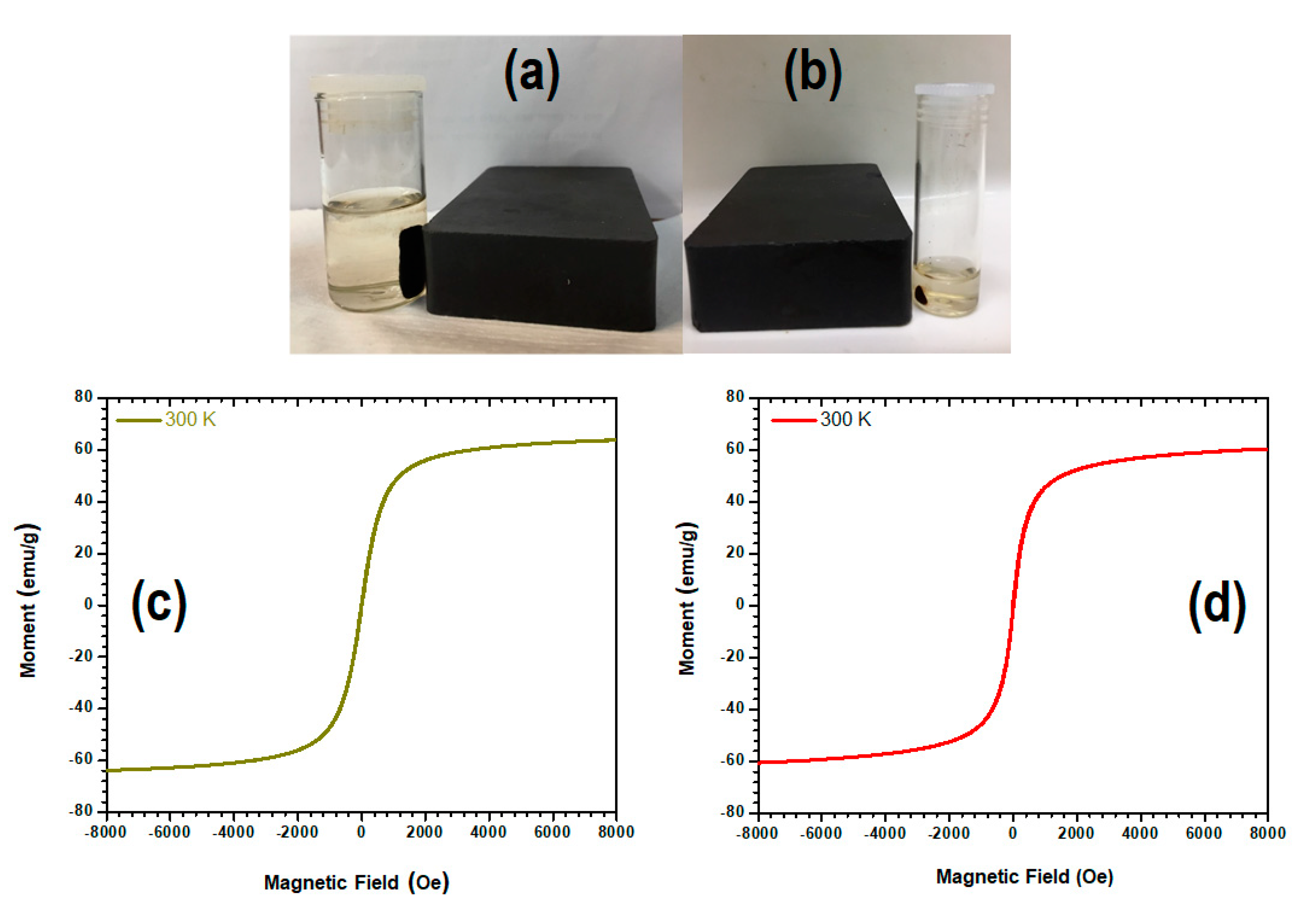 Pharmaceutics 14 00829 g006