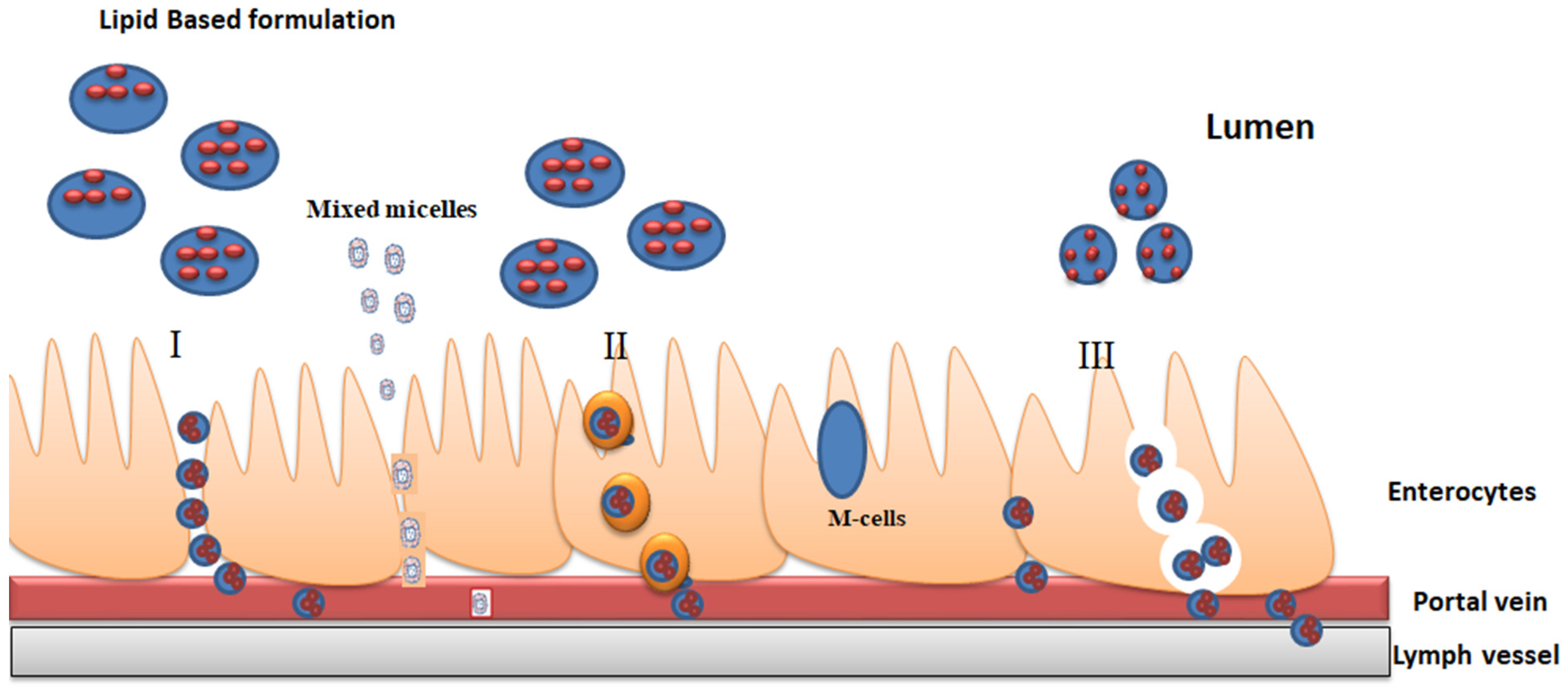 Pharmaceutics Free Full Text Fundamental Aspects Of Lipid Based Excipients In Lipid Based Product Development Html