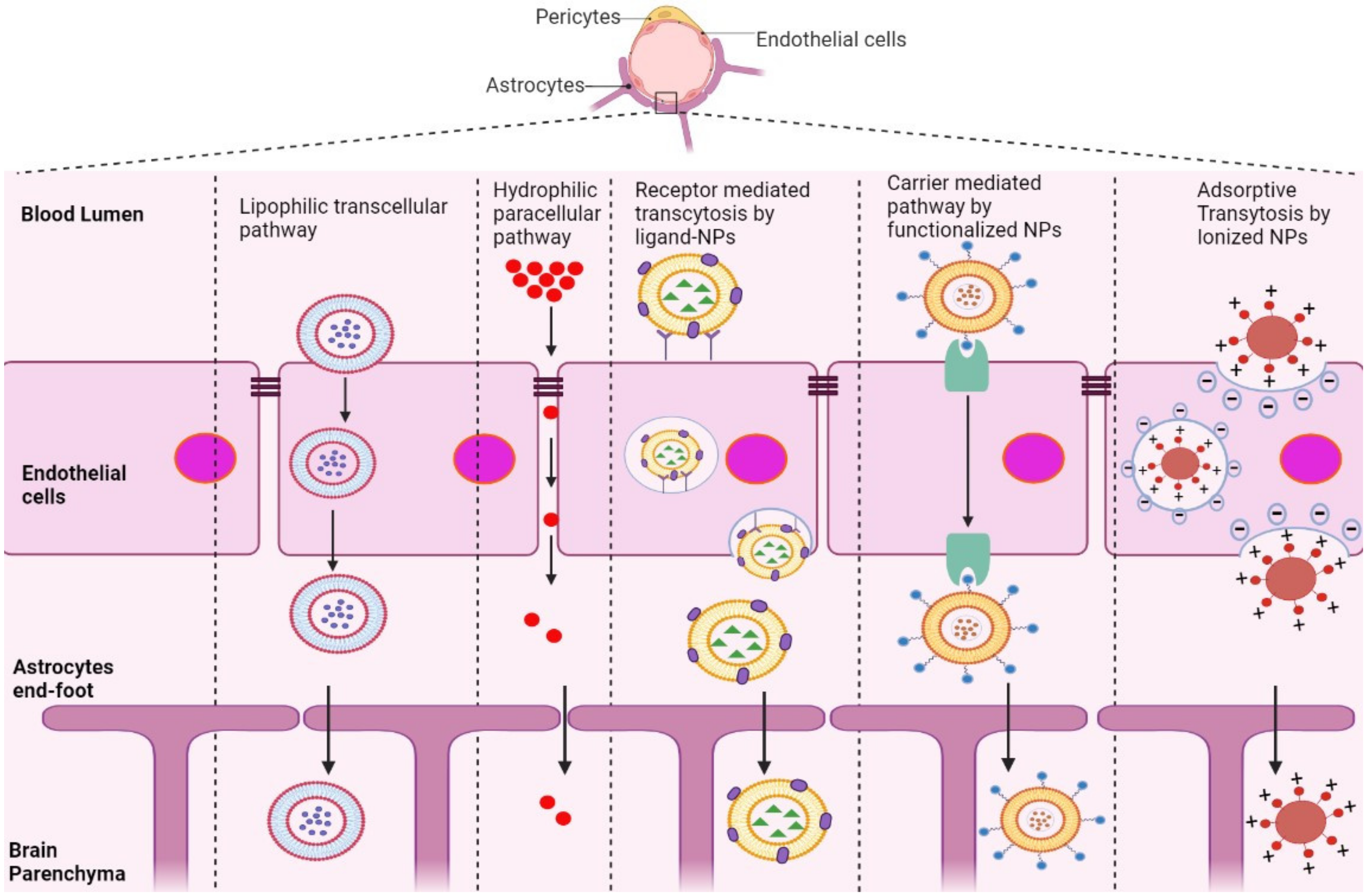 Advances in neural information processing systems
