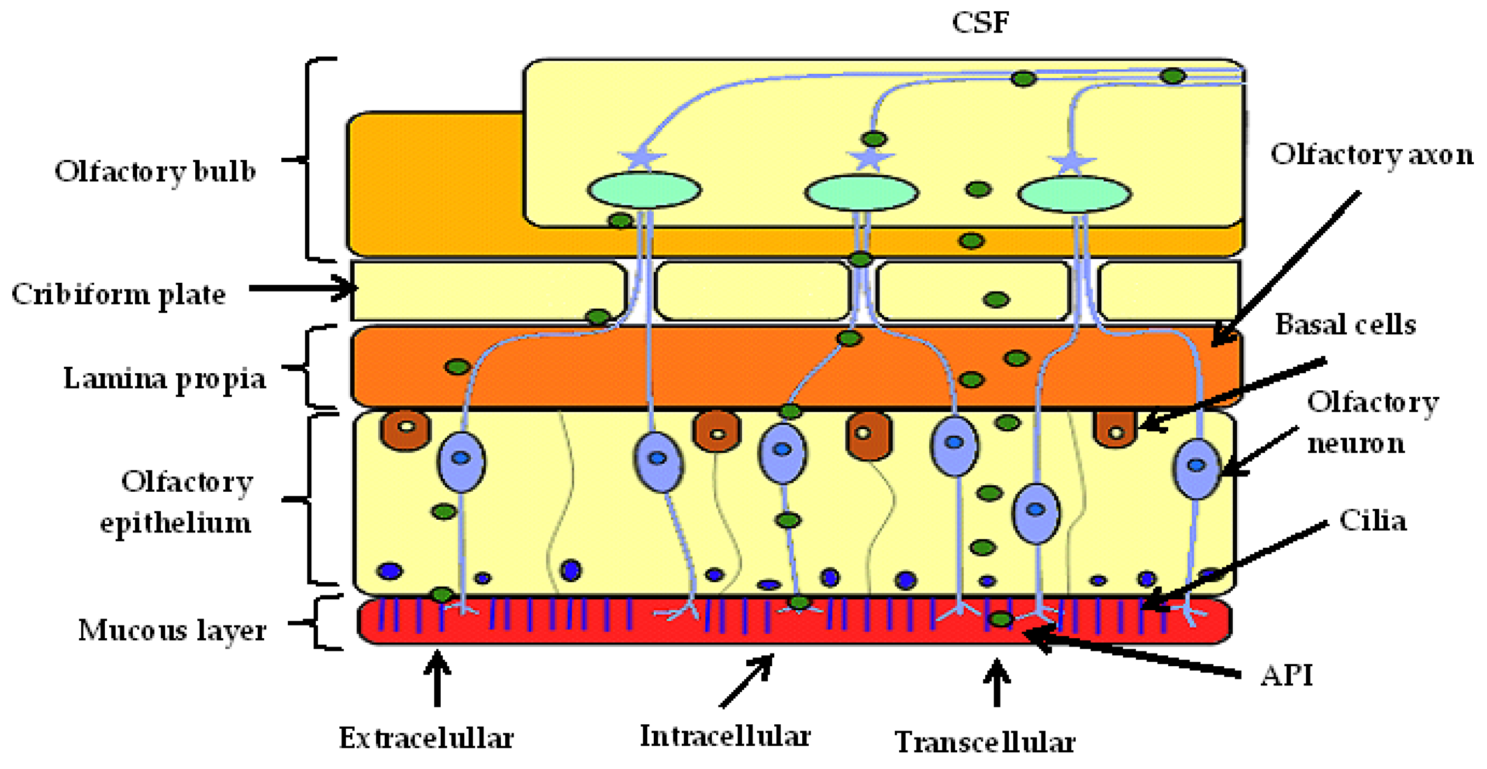 Pharmaceutics 14 00836 g001 Pharmaceutics 14 00836 g001