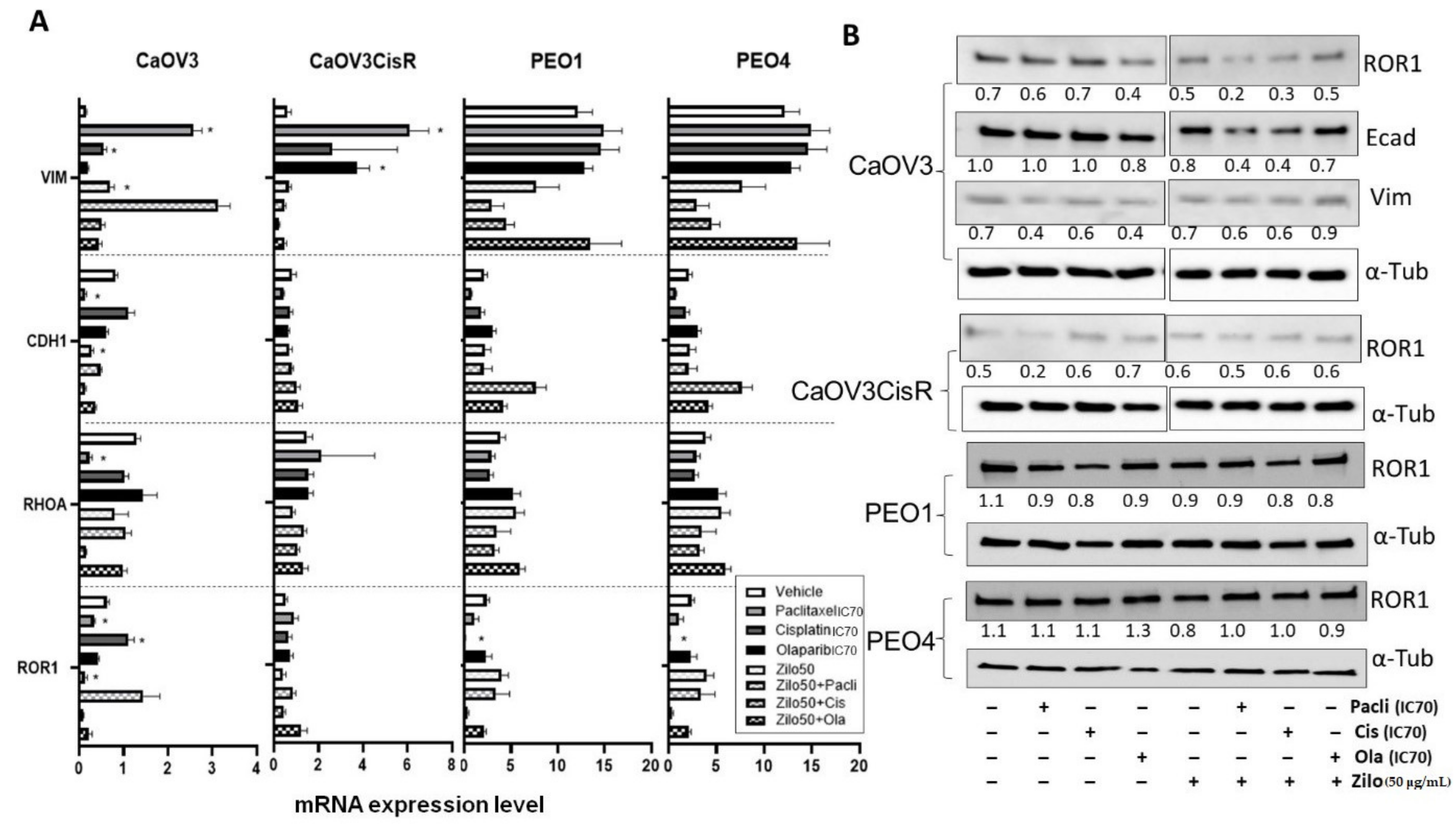 Pharmaceutics 14 00837 g002 550
