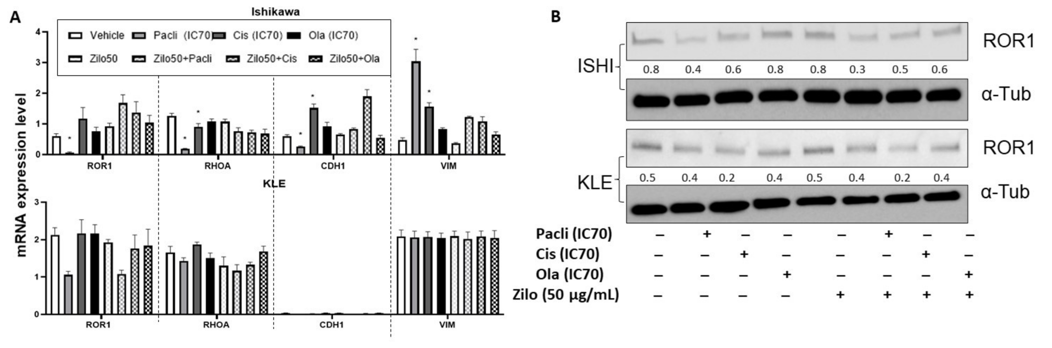 Pharmaceutics 14 00837 g004 550