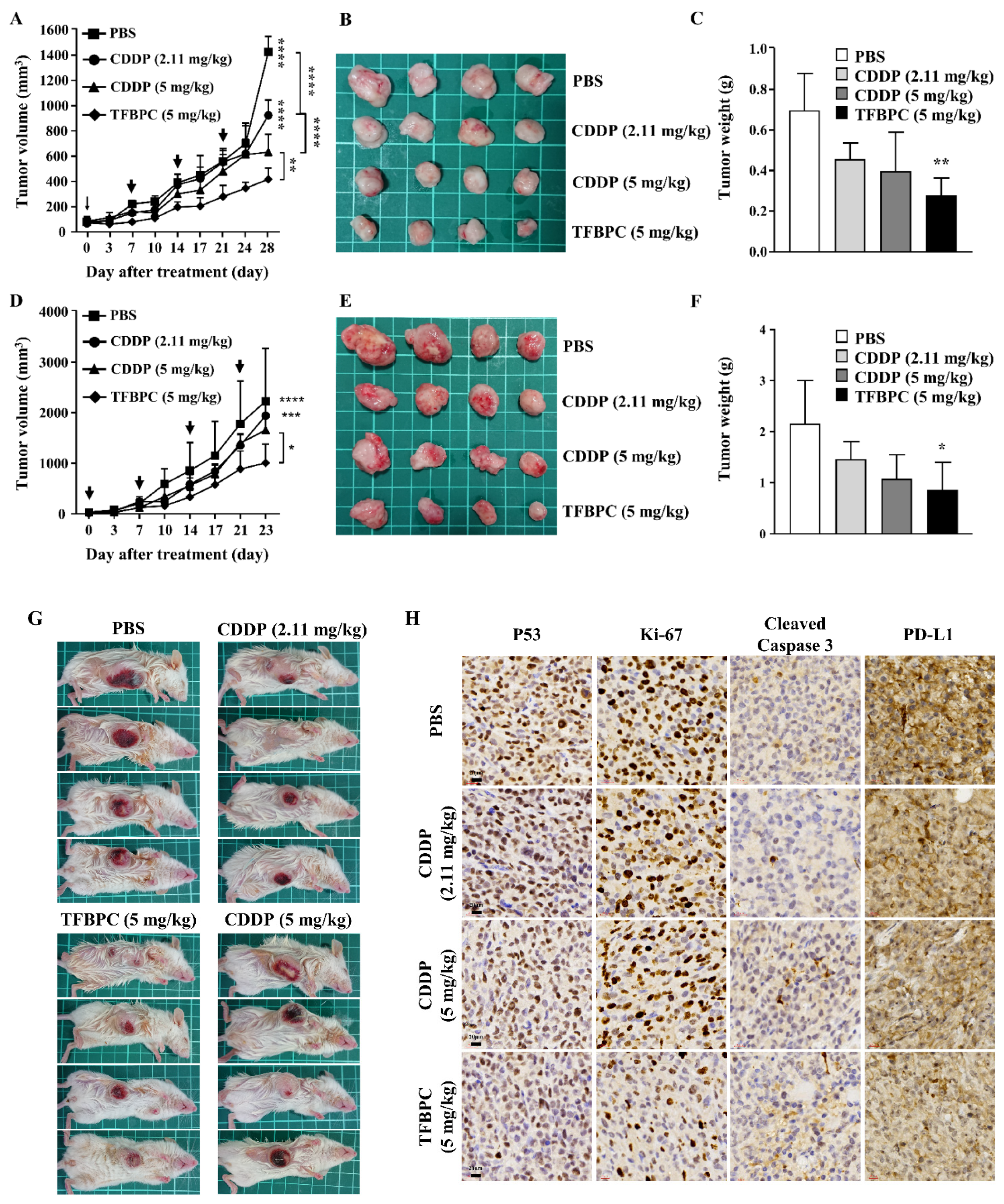 Pharmaceutics 14 00839 g005a