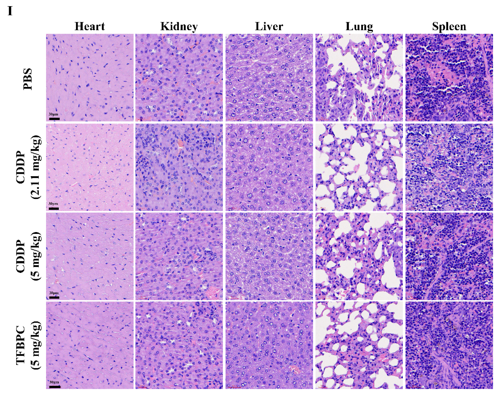 Pharmaceutics 14 00839 g005b