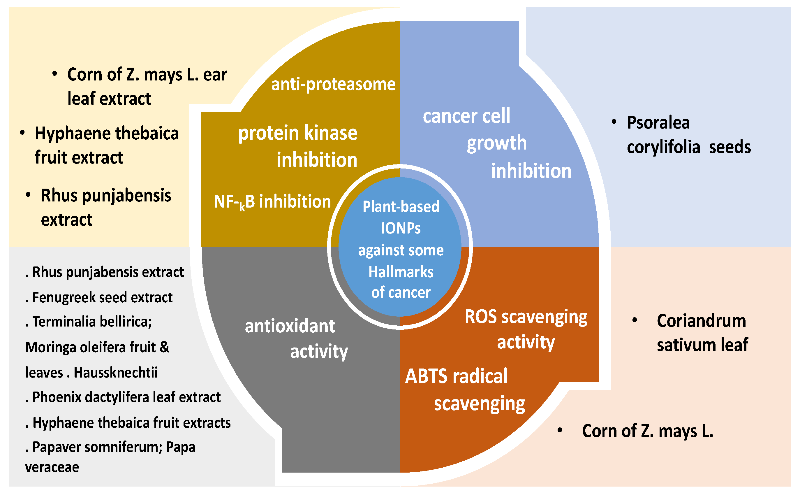 Pharmaceutics 14 00844 g004