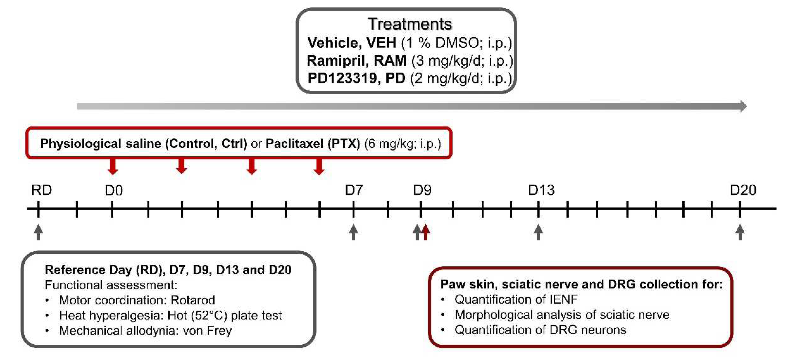 Pharmaceutics 14 00848 g001 Pharmaceutics 14 00848 g001