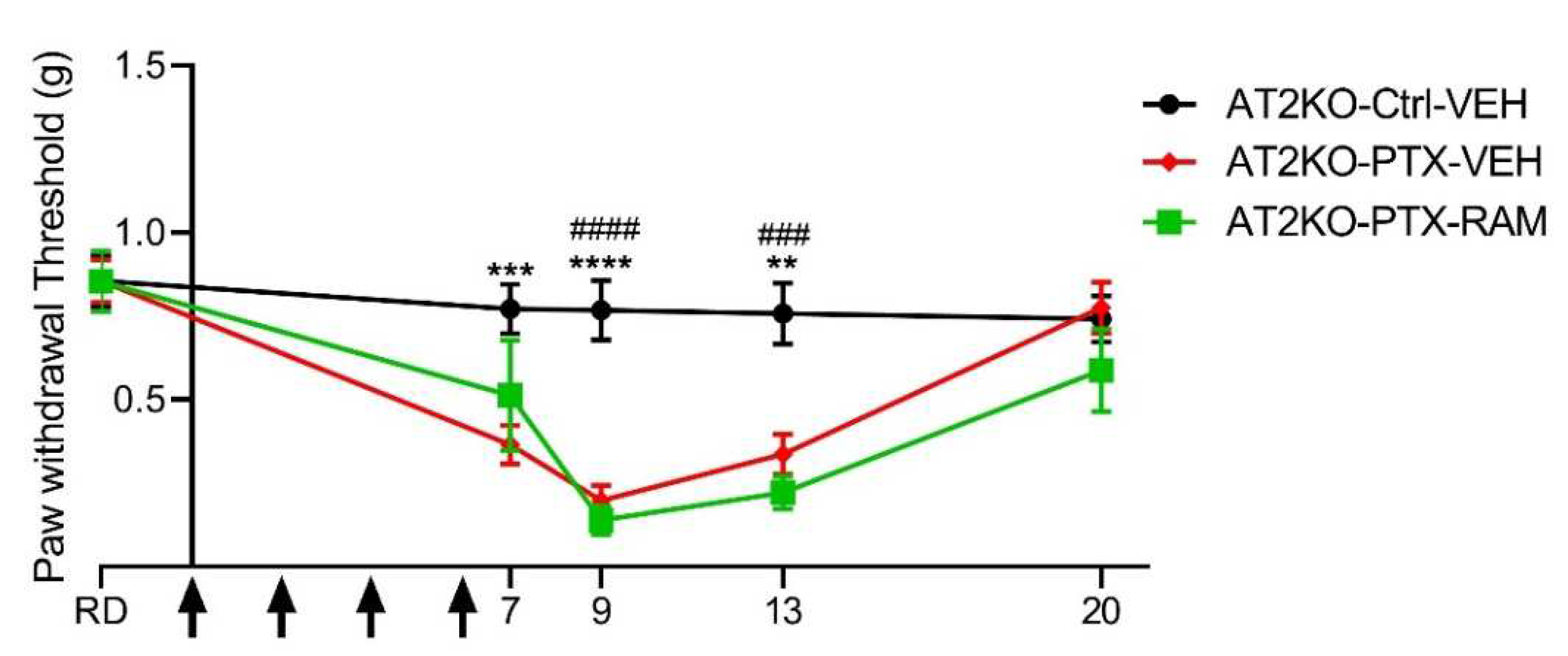 Pharmaceutics 14 00848 g004 Pharmaceutics 14 00848 g004