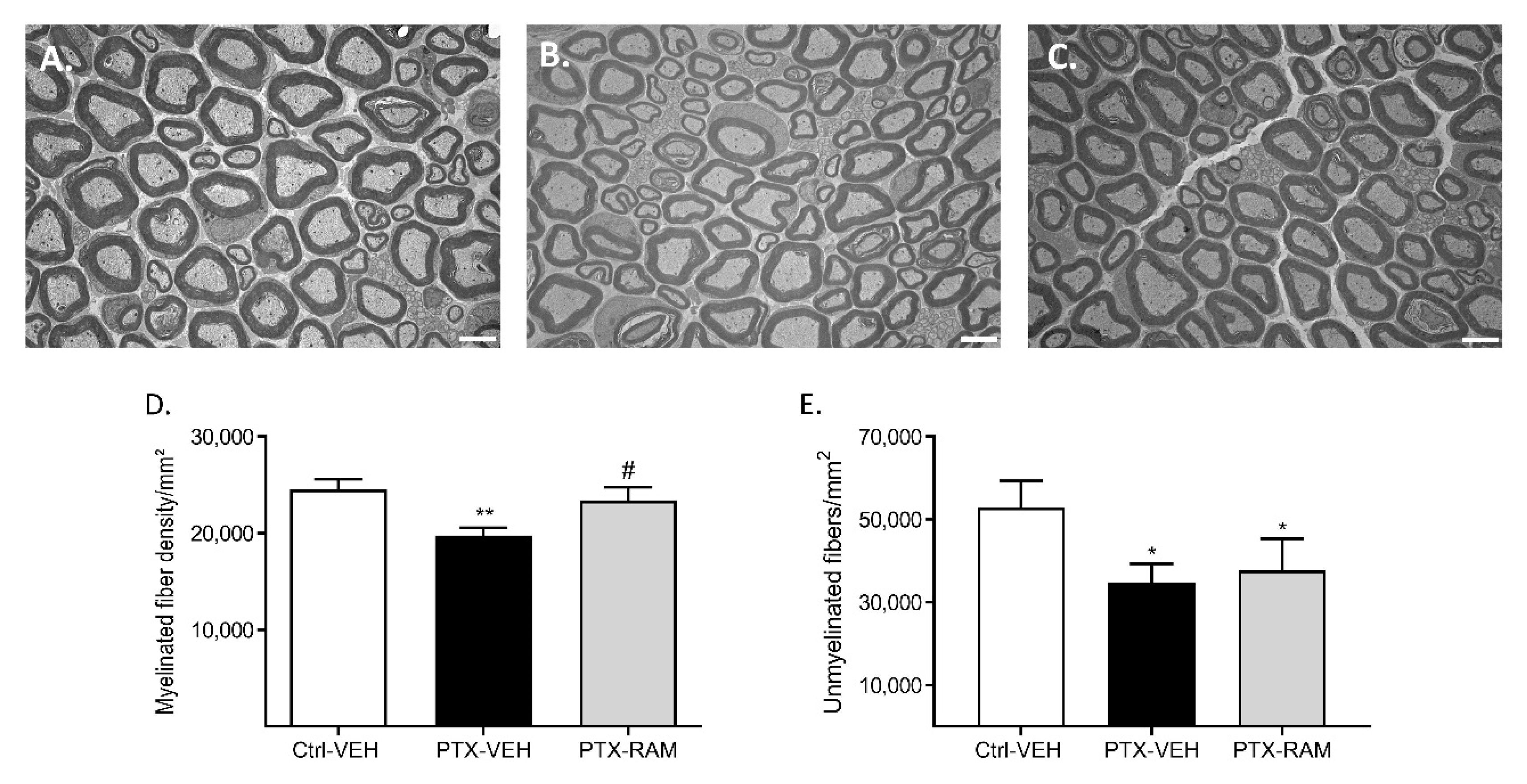 Pharmaceutics 14 00848 g006 Pharmaceutics 14 00848 g006