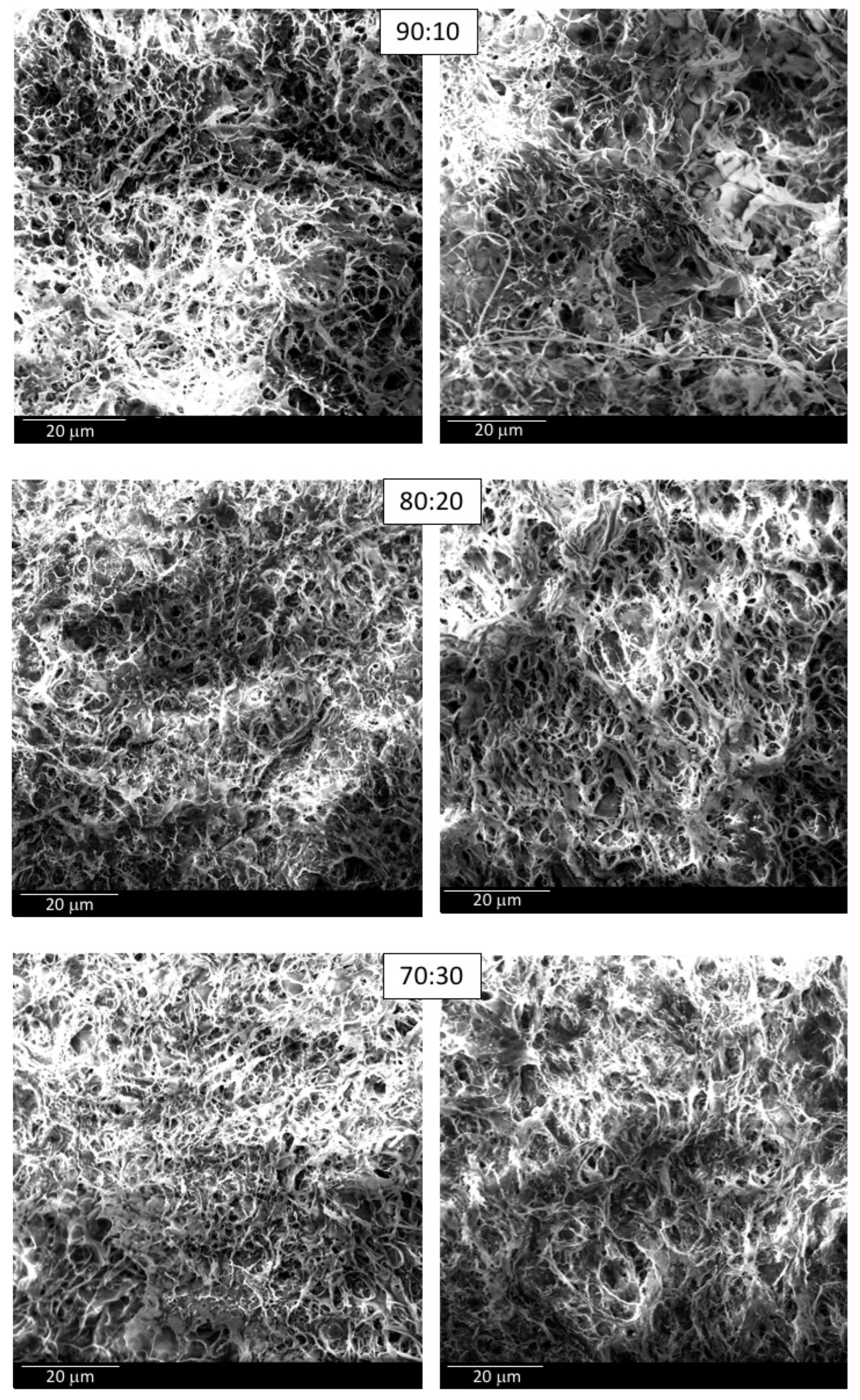 Pharmaceutics 14 00850 g007