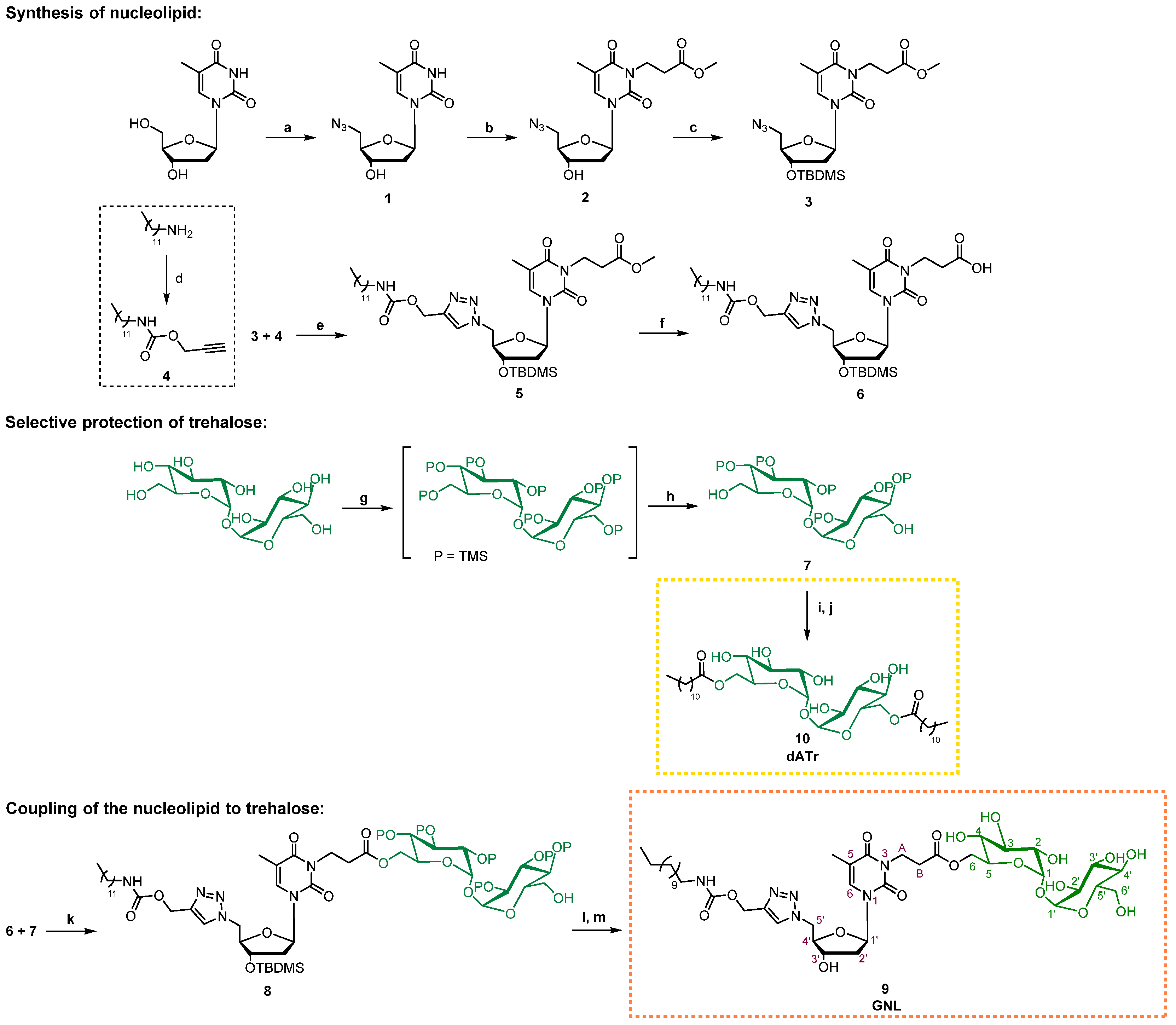 Pharmaceutics 14 00857 sch001