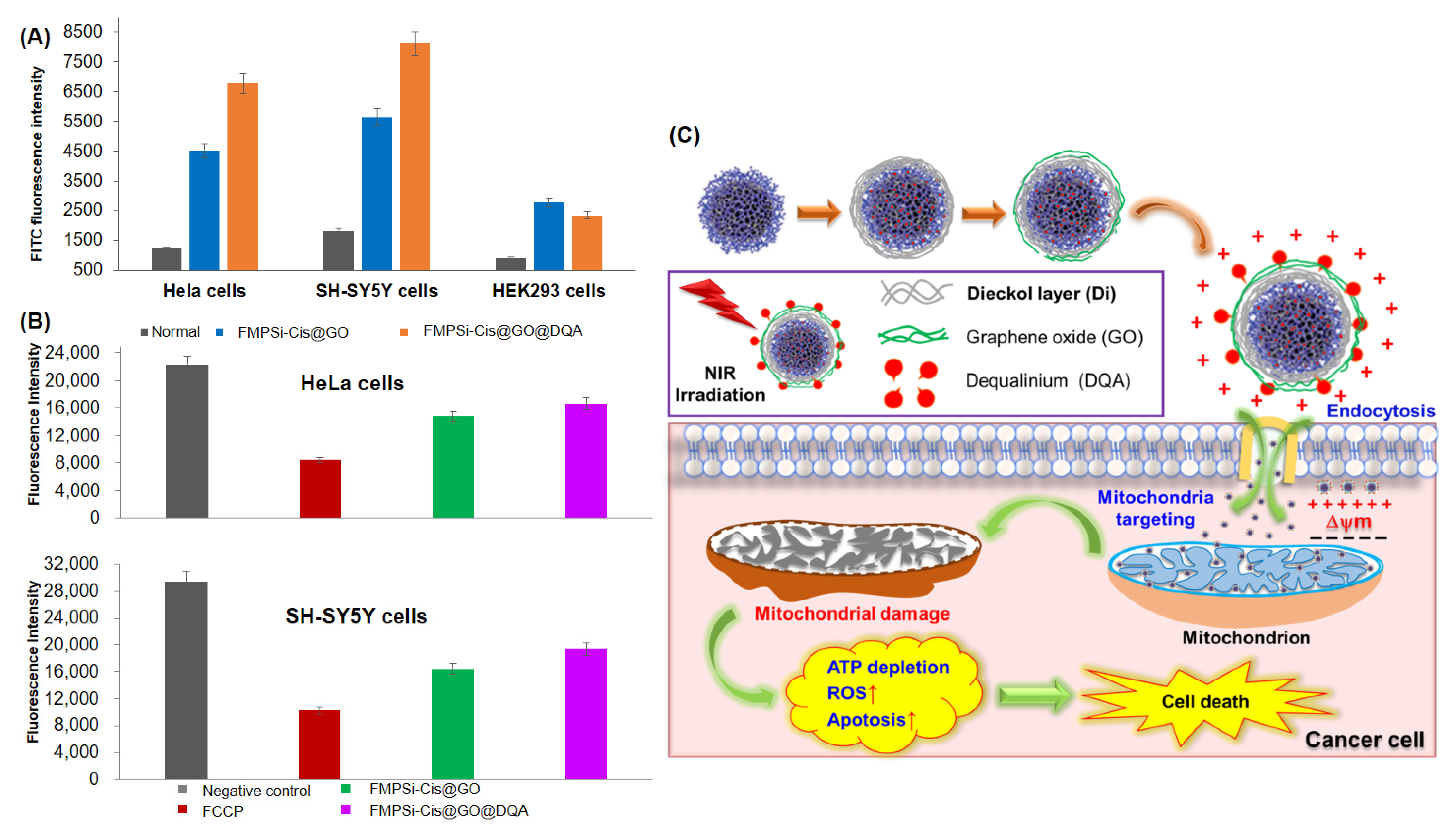 Pharmaceutics 14 00858 g004 Pharmaceutics 14 00858 g004