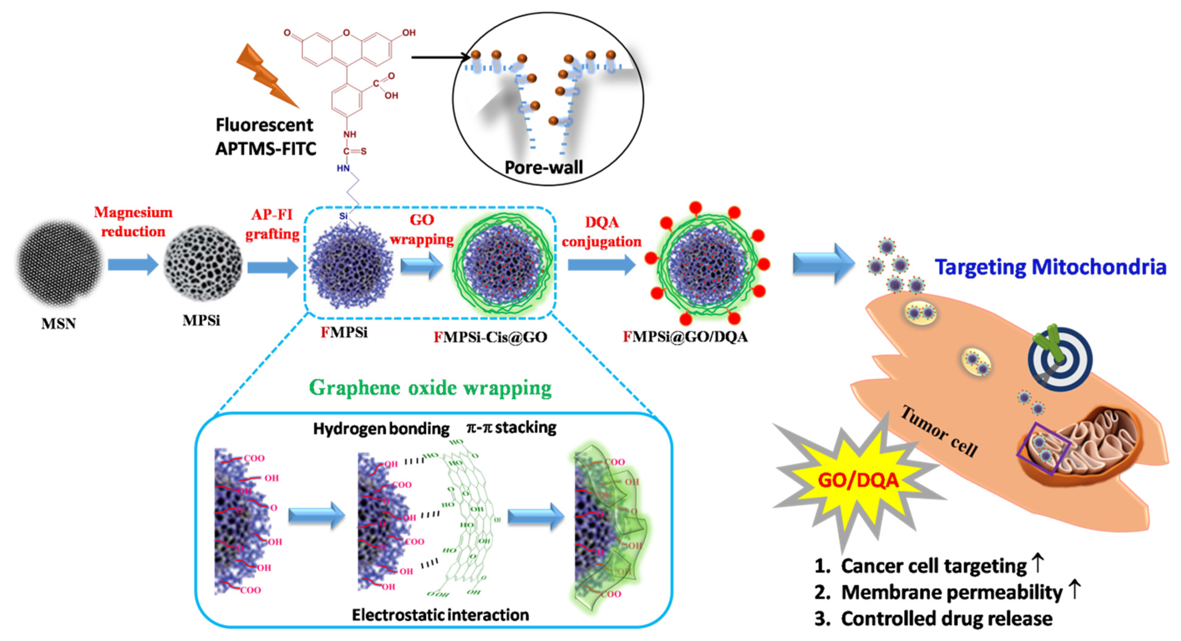 Pharmaceutics 14 00858 sch001 Pharmaceutics 14 00858 sch001