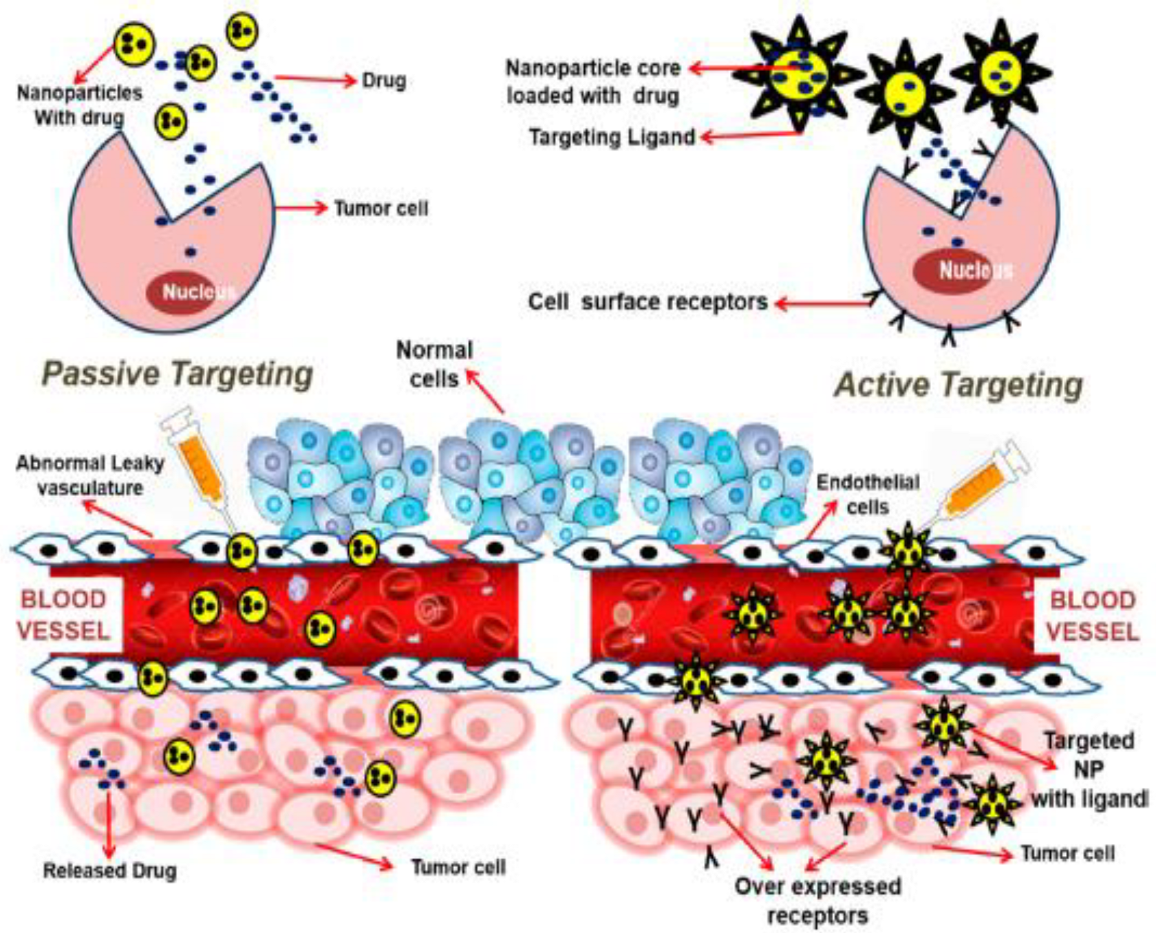 Pharmaceutics 14 00866 g002 Pharmaceutics 14 00866 g002