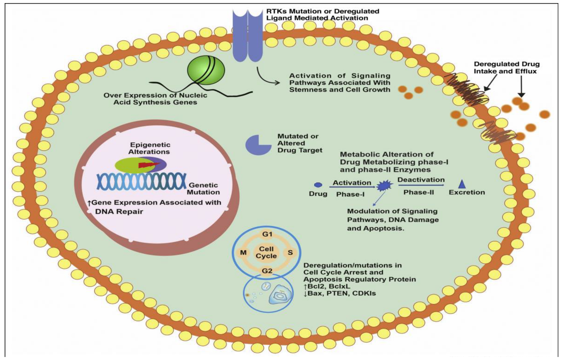 Pharmaceutics 14 00866 g003 Pharmaceutics 14 00866 g003