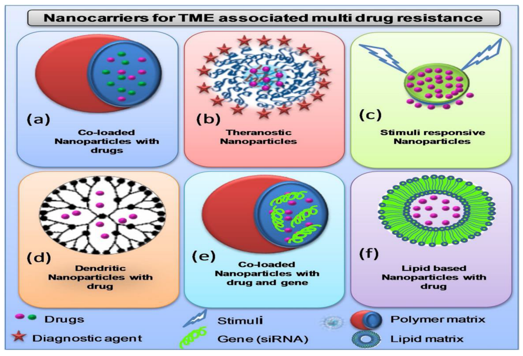 Pharmaceutics 14 00866 g006 Pharmaceutics 14 00866 g006