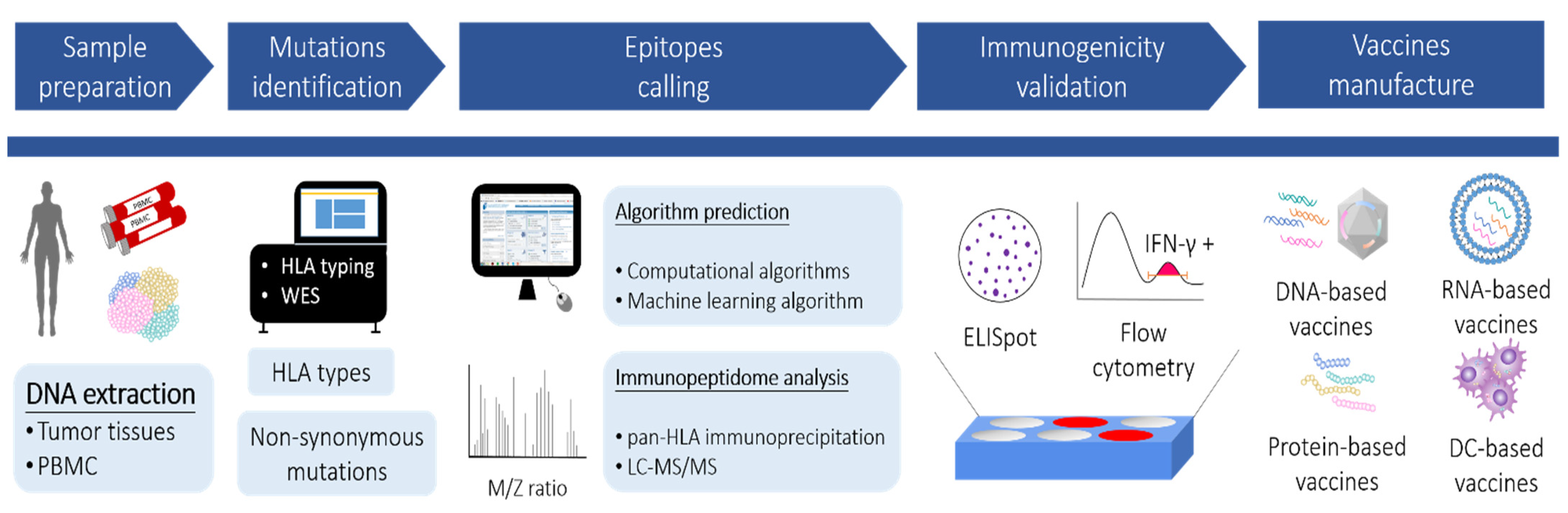 Pharmaceutics 14 00867 g001