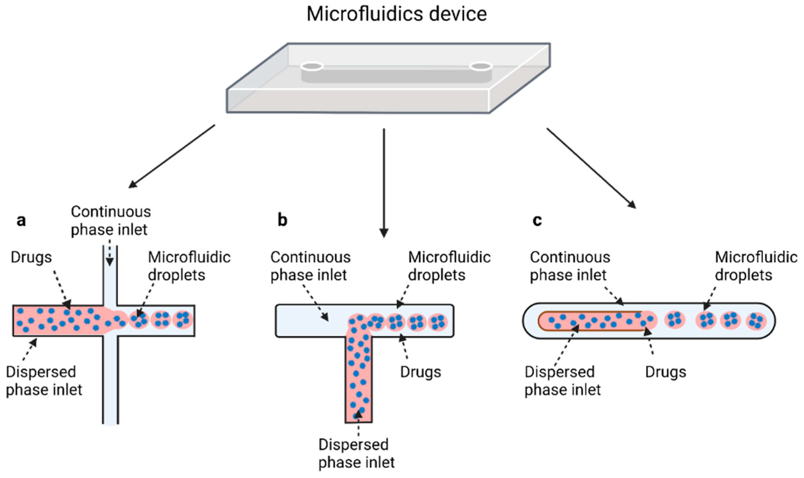 Pharmaceutics 14 00872 g002 550