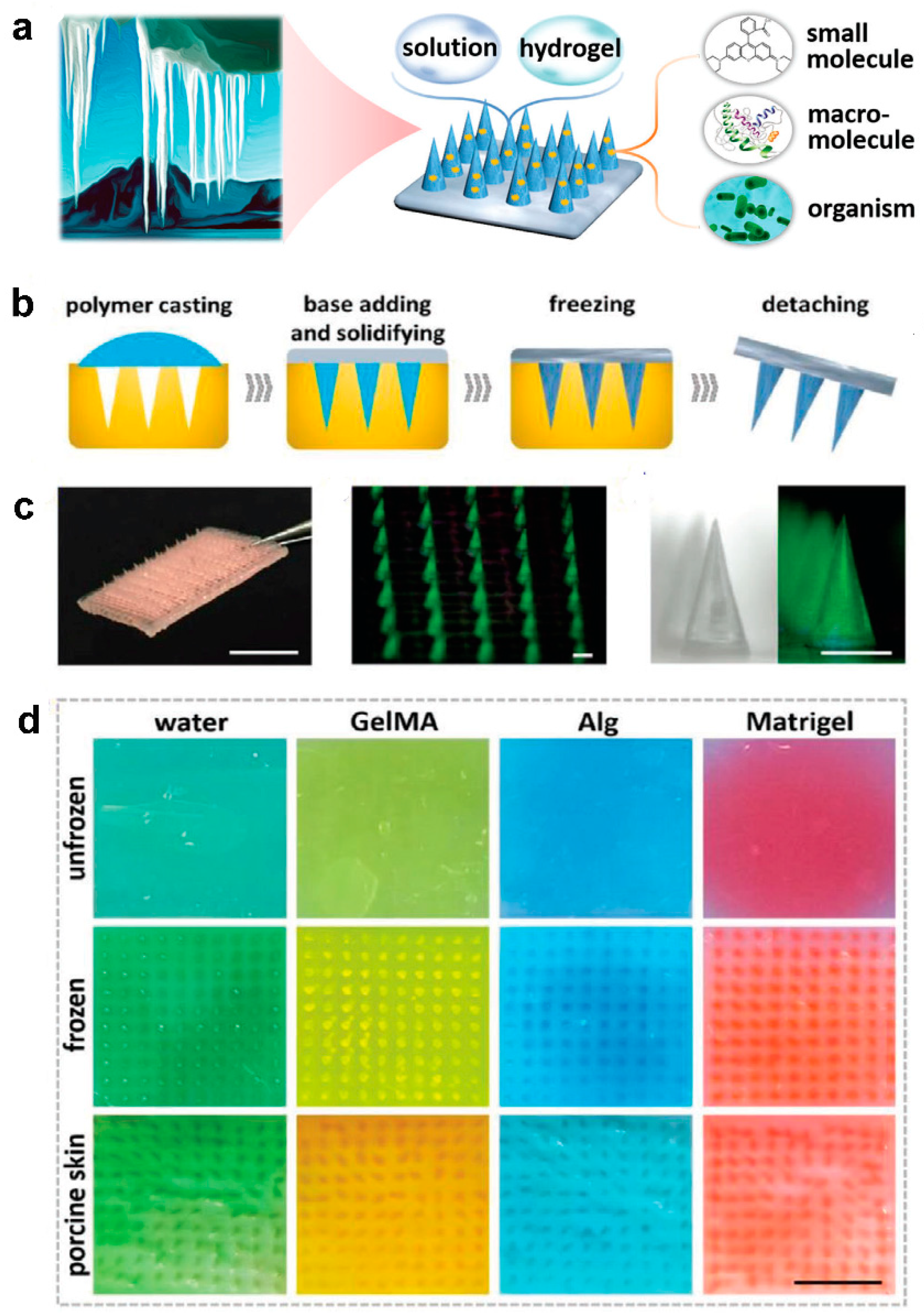 Pharmaceutics 14 00872 g005 550