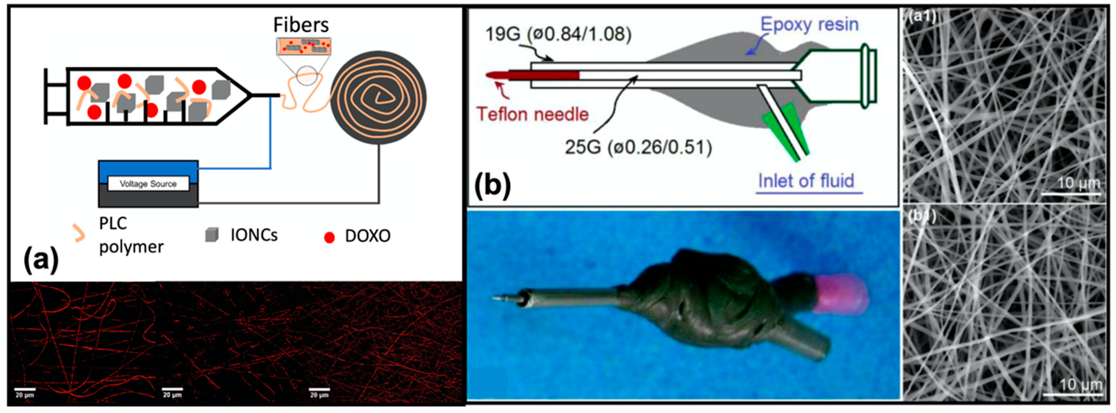Pharmaceutics 14 00872 g007 550