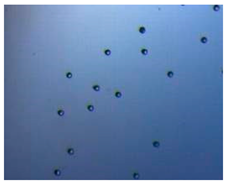 Pharmaceutics 14 00872 i002