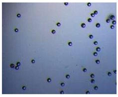 Pharmaceutics 14 00872 i010