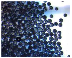 Pharmaceutics 14 00872 i011