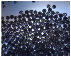 Pharmaceutics 14 00872 i013