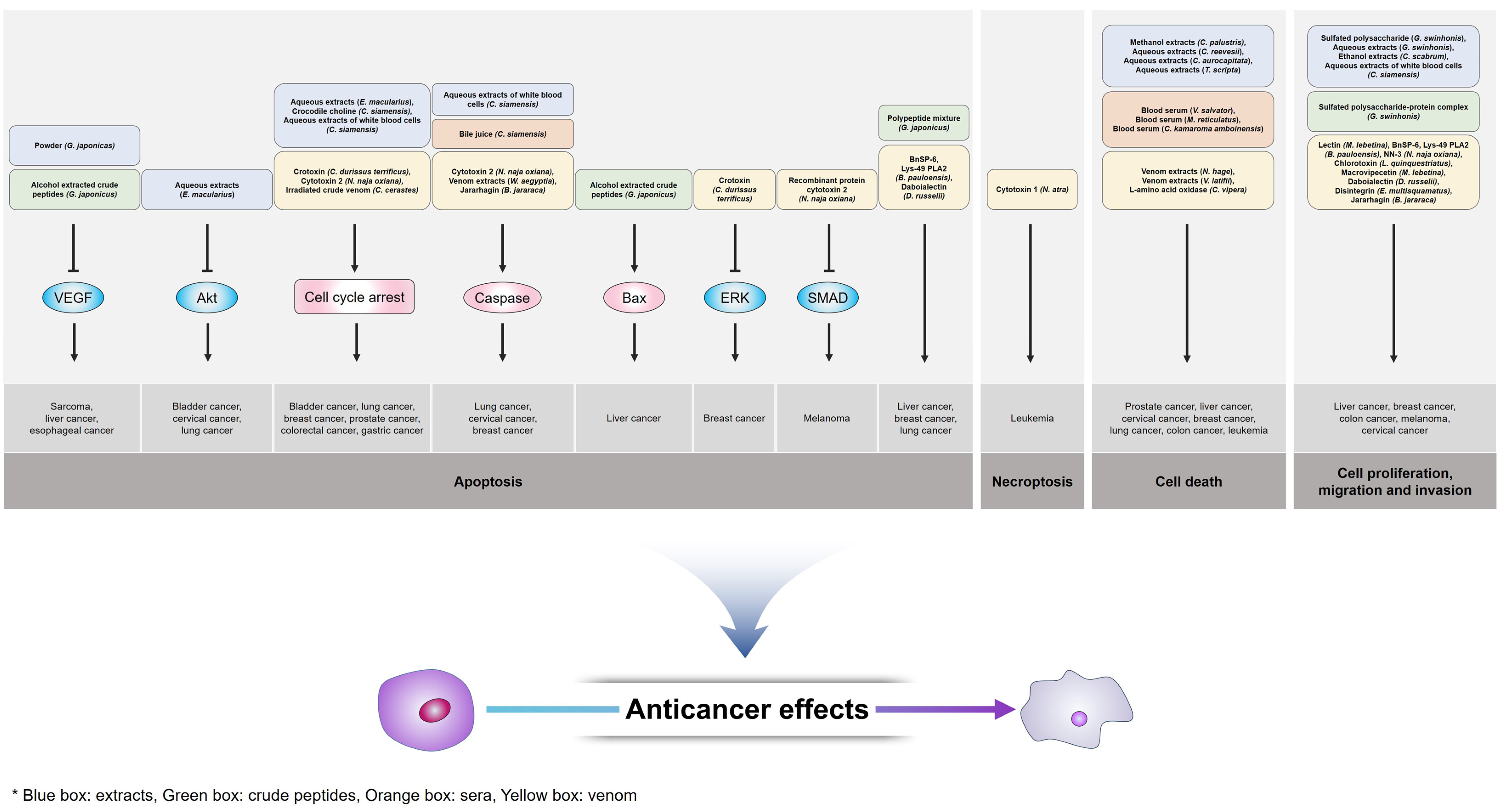 Pharmaceutics 14 00874 g001
