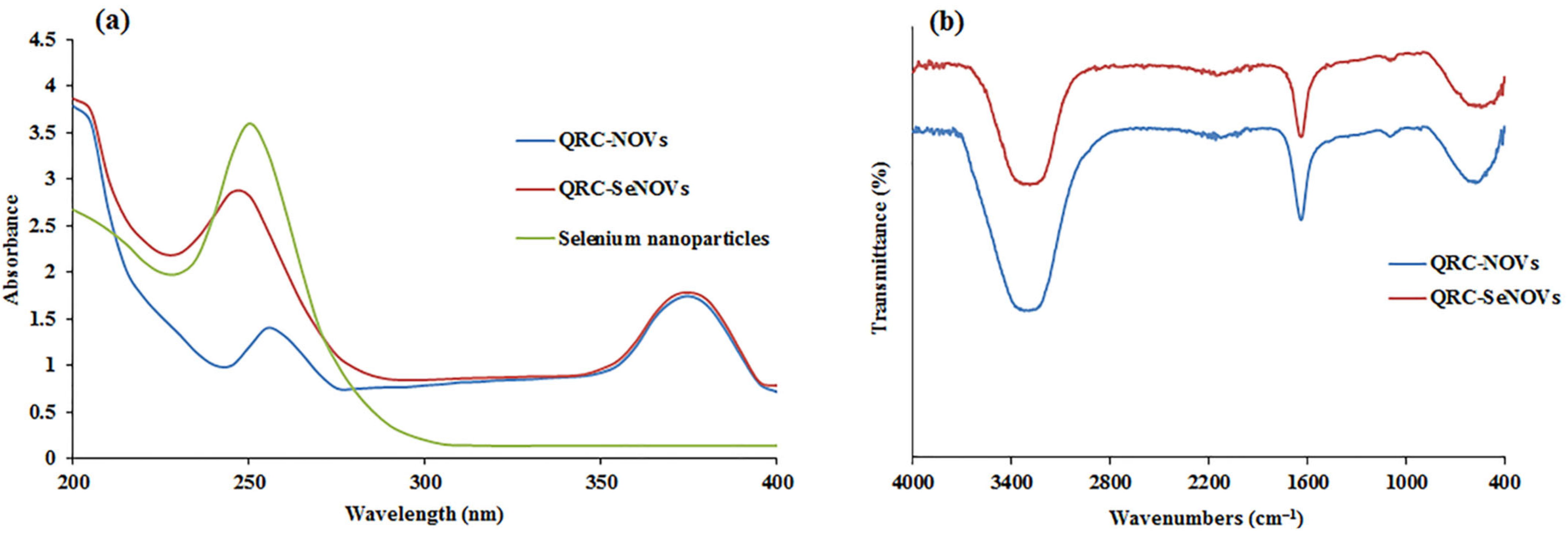 Pharmaceutics 14 00875 g002