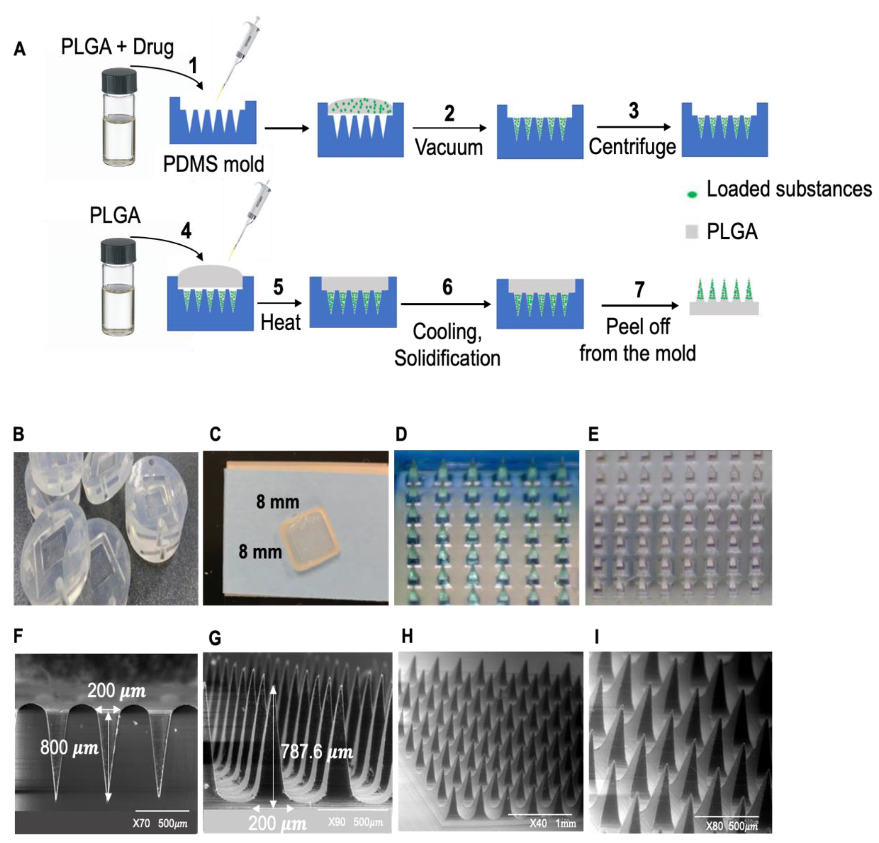 Pharmaceutics 14 00879 g001 Pharmaceutics 14 00879 g001