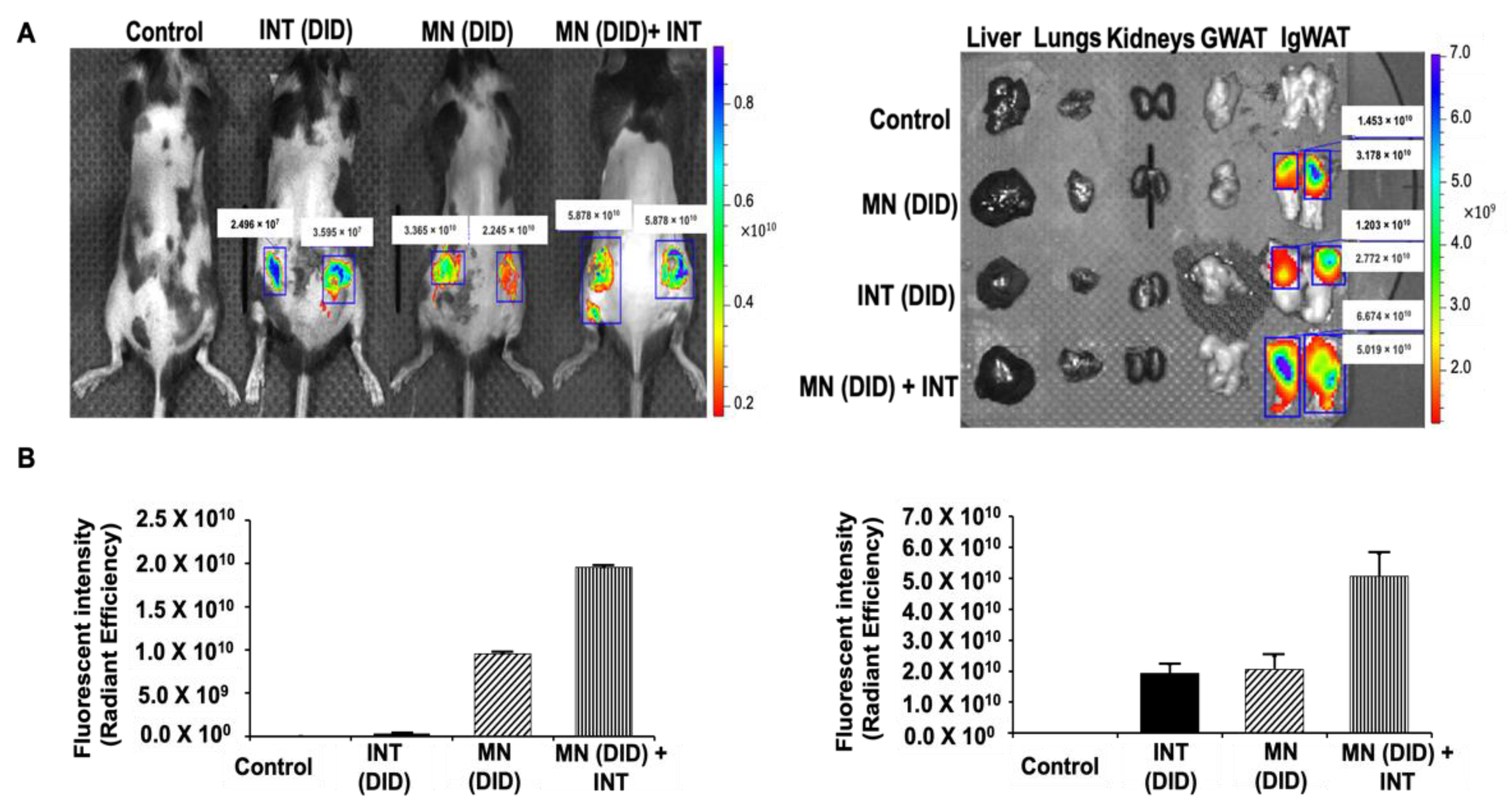 Pharmaceutics 14 00879 g002 Pharmaceutics 14 00879 g002