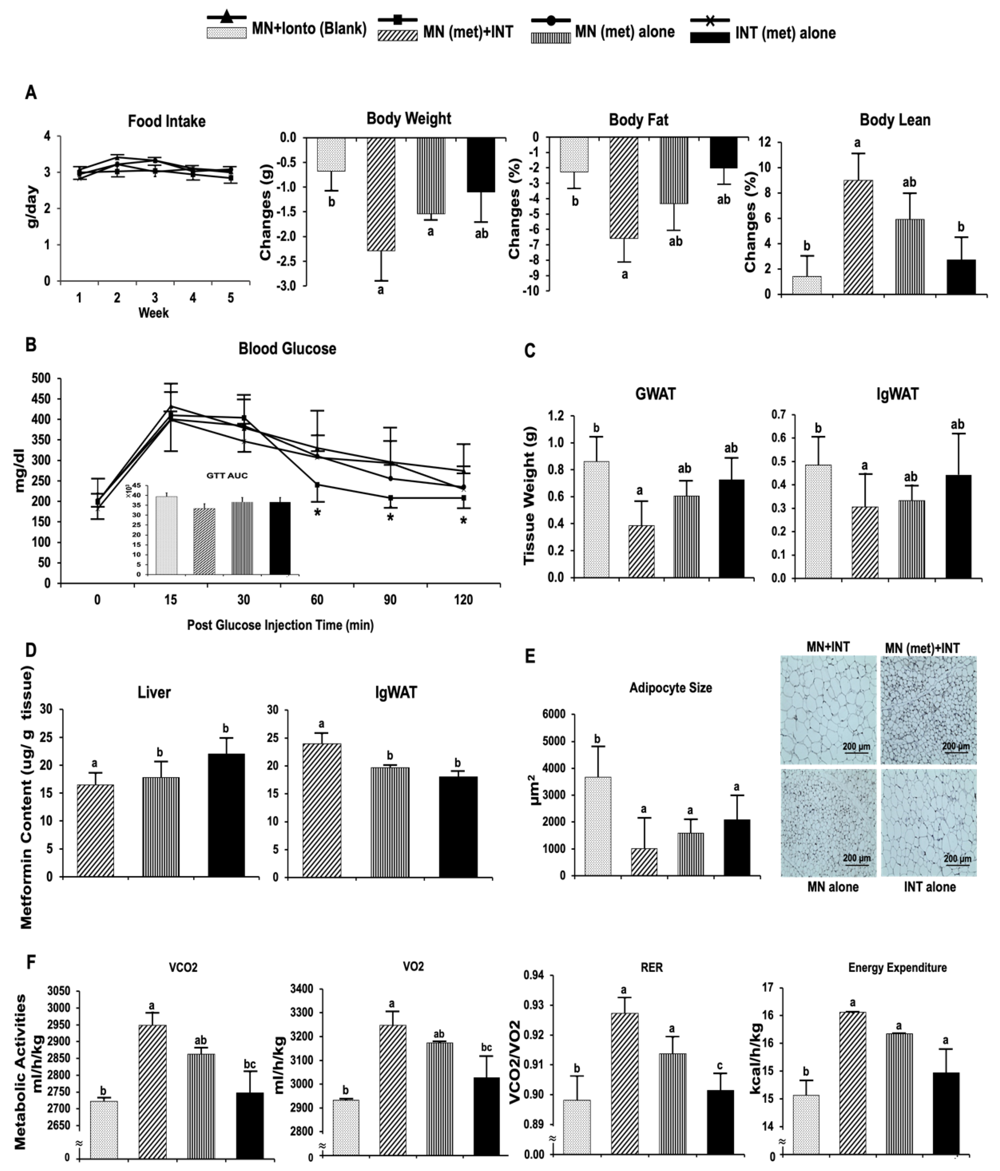 Pharmaceutics 14 00879 g003 Pharmaceutics 14 00879 g003