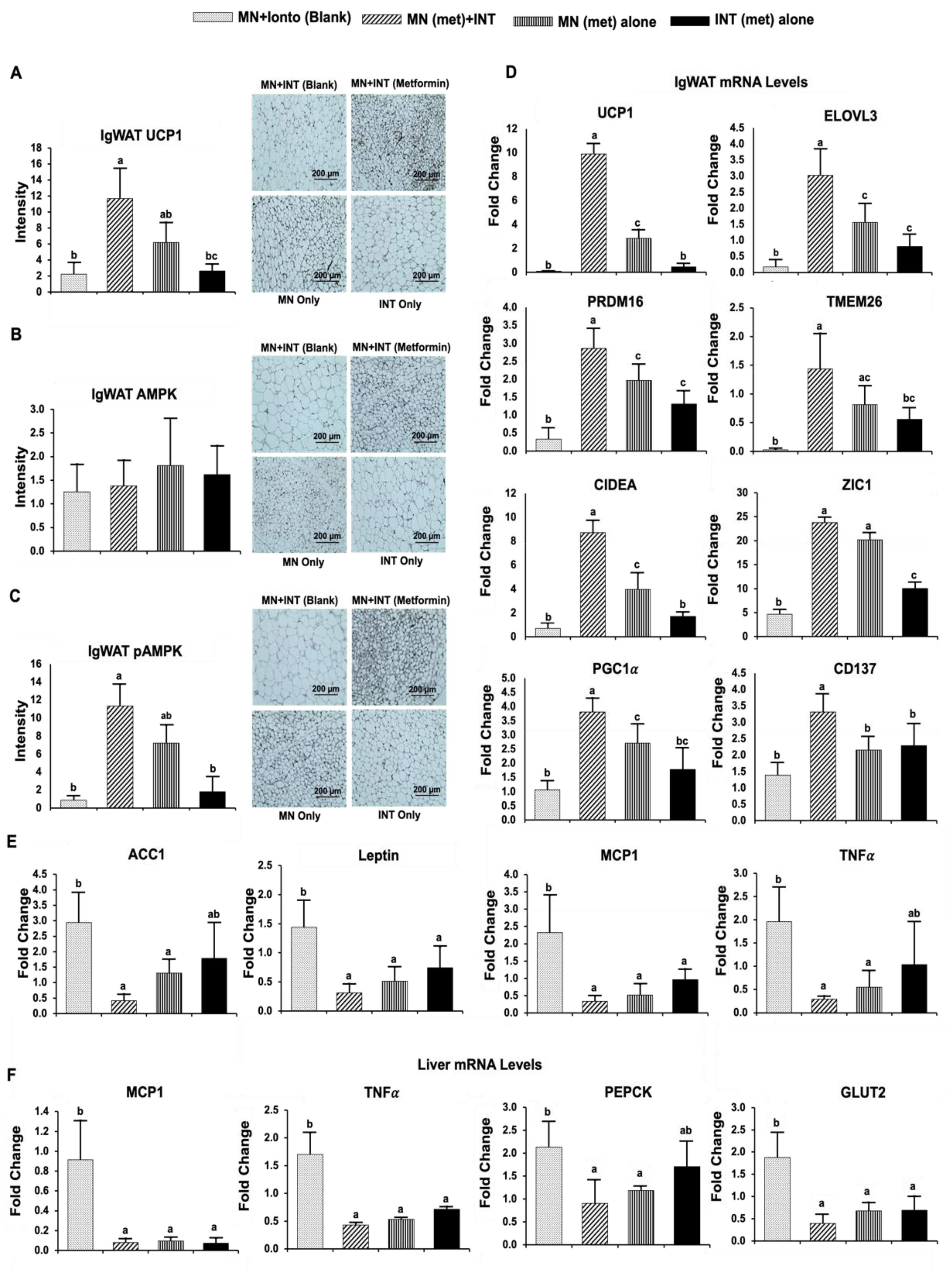 Pharmaceutics 14 00879 g004 Pharmaceutics 14 00879 g004