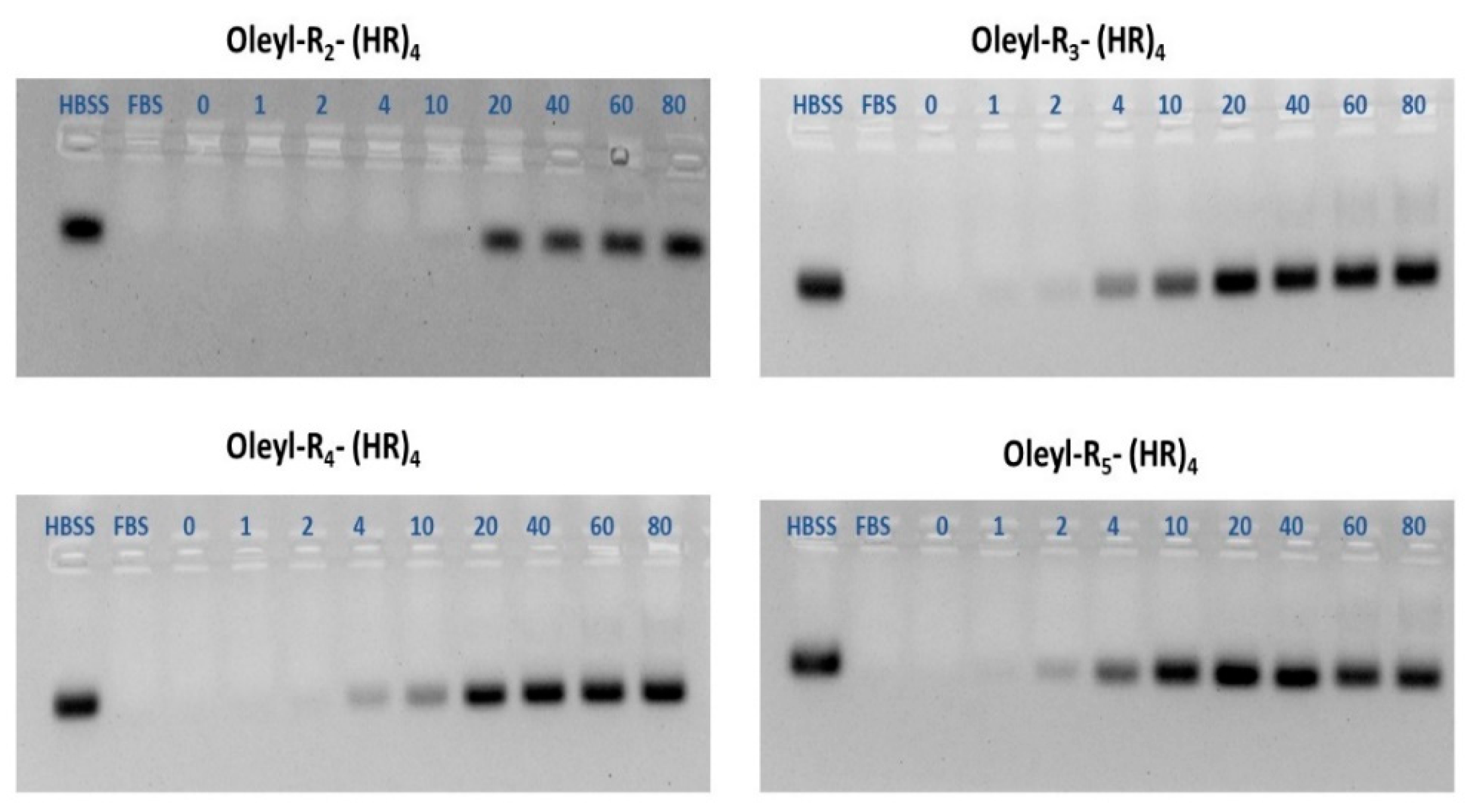 Pharmaceutics 14 00881 g007 550
