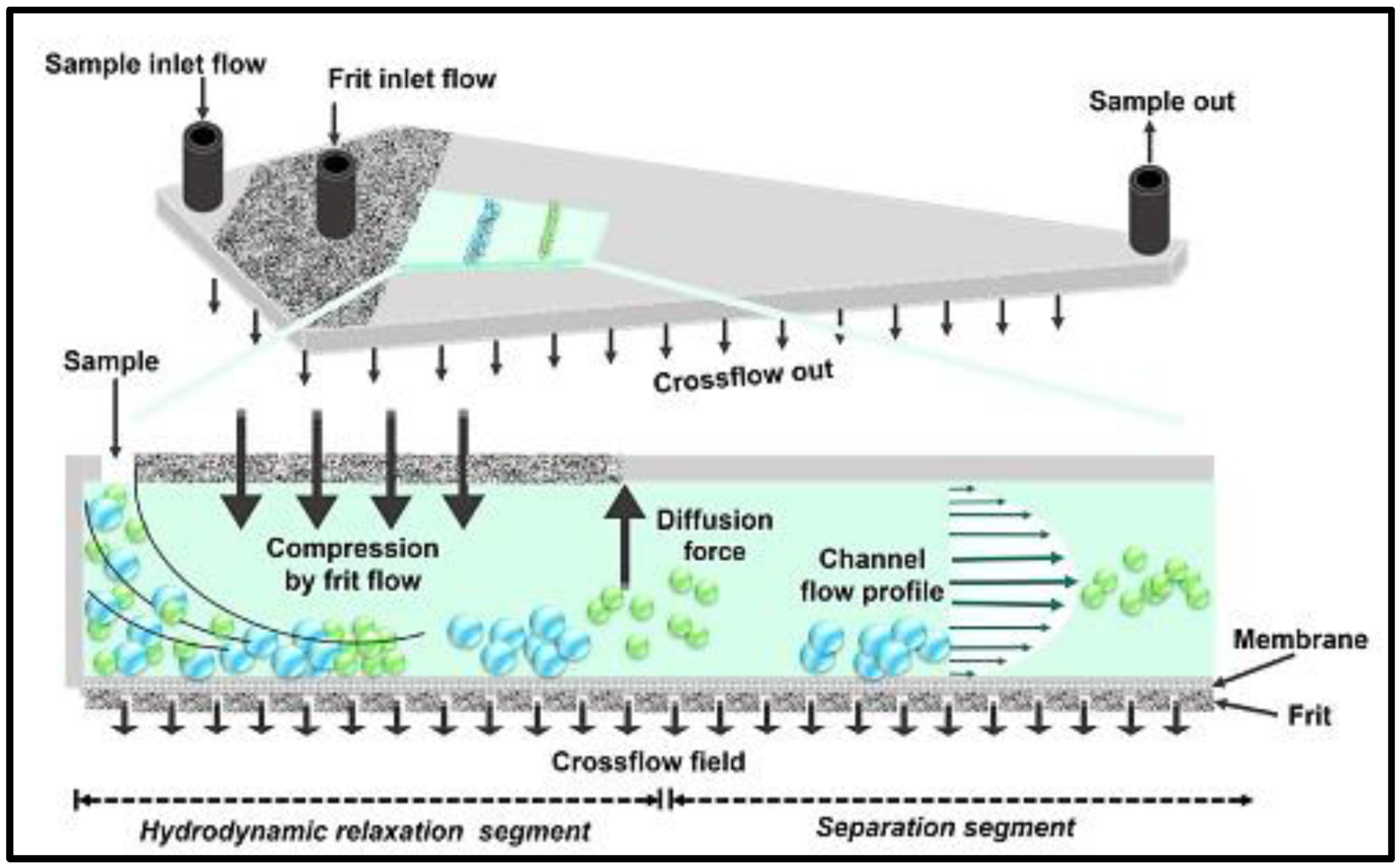 Pharmaceutics 14 00883 g001