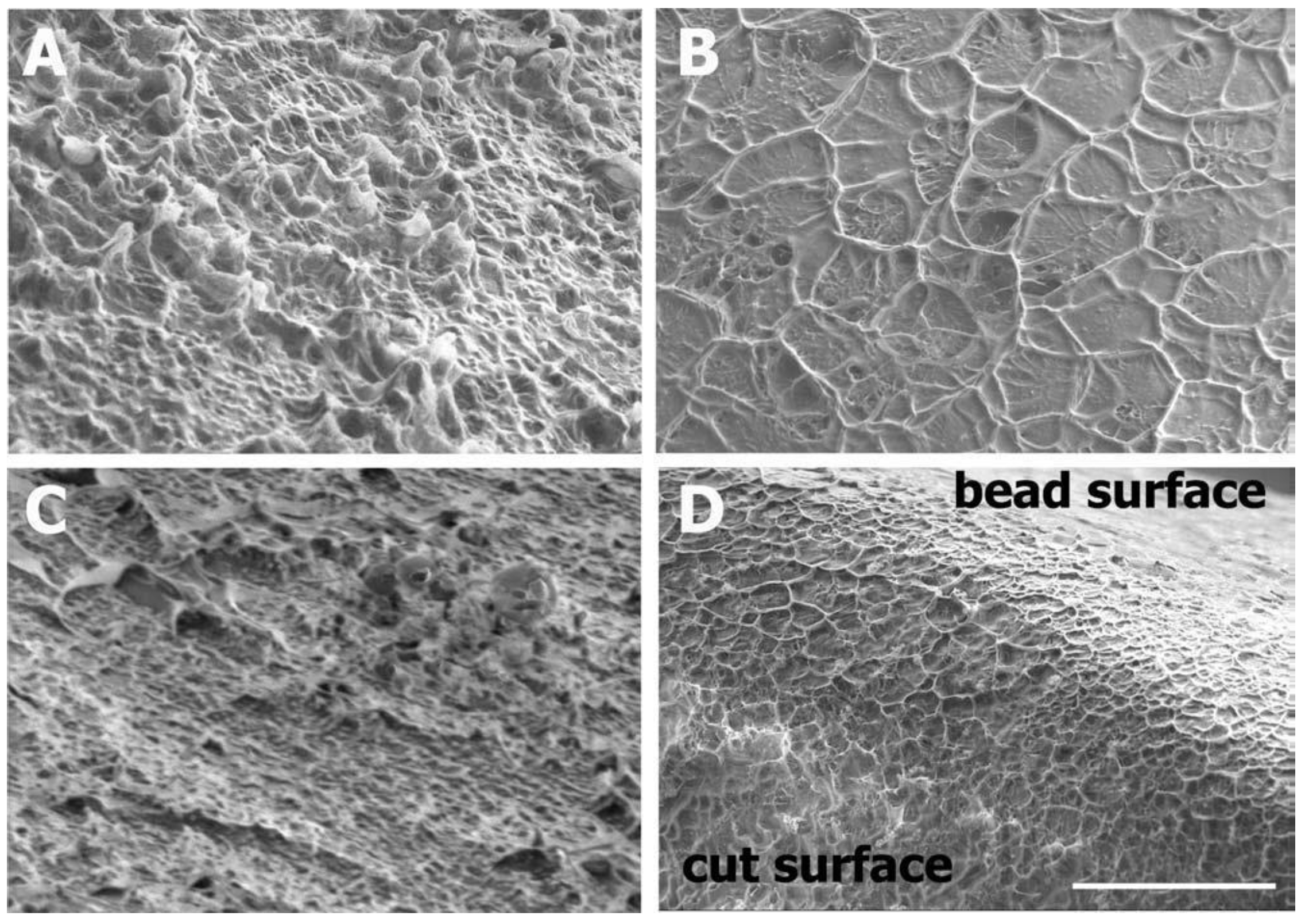 Pharmaceutics 14 00883 g002