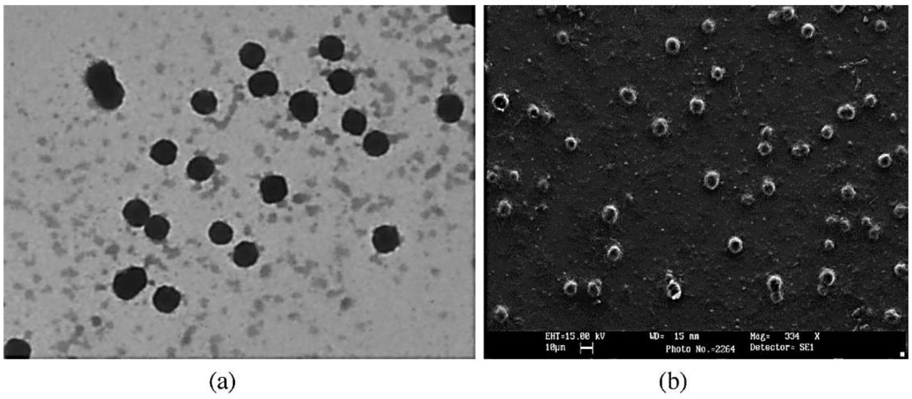Pharmaceutics 14 00883 g003