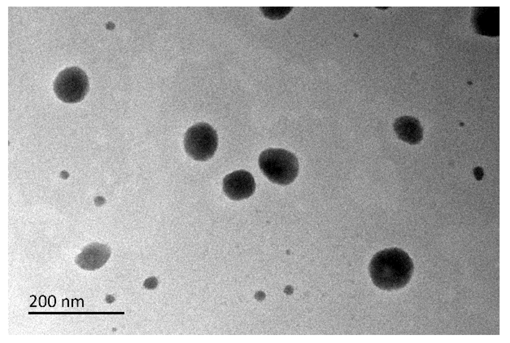 Pharmaceutics 14 00889 g007 Pharmaceutics 14 00889 g007