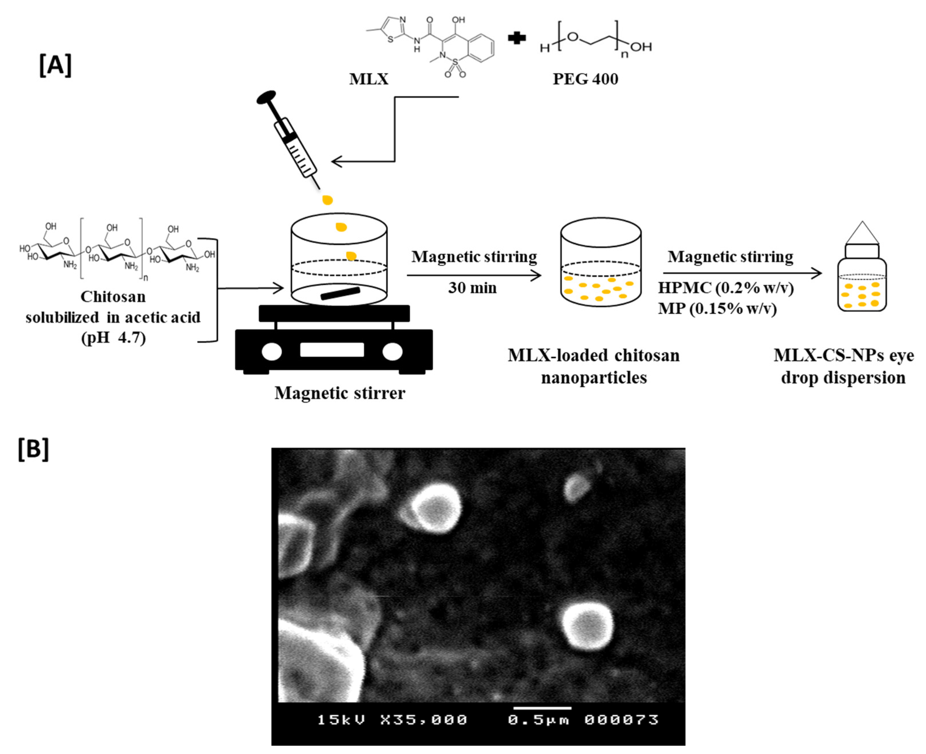 Pharmaceutics 14 00893 g001 Pharmaceutics 14 00893 g001