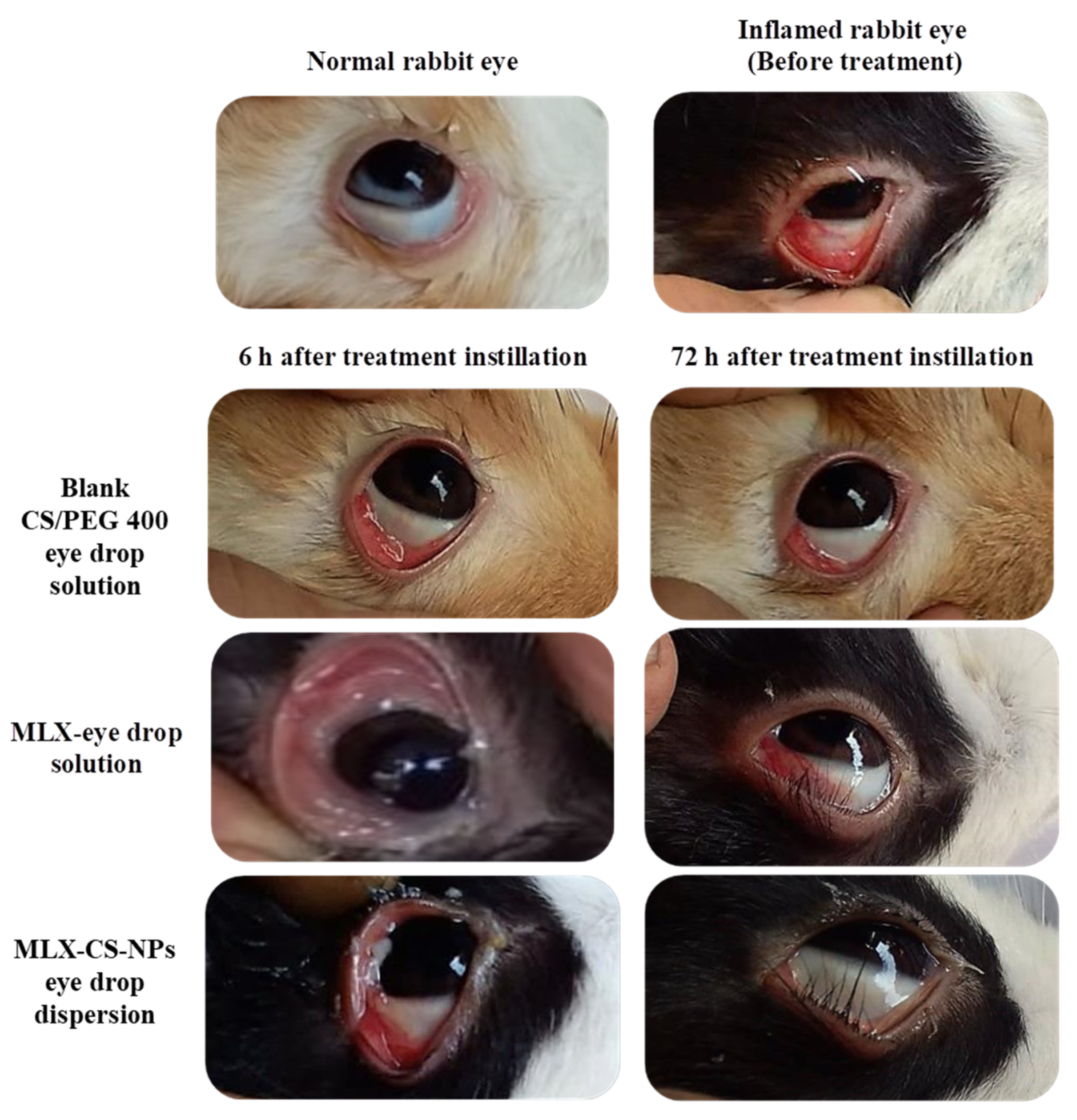 Pharmaceutics 14 00893 g005 Pharmaceutics 14 00893 g005