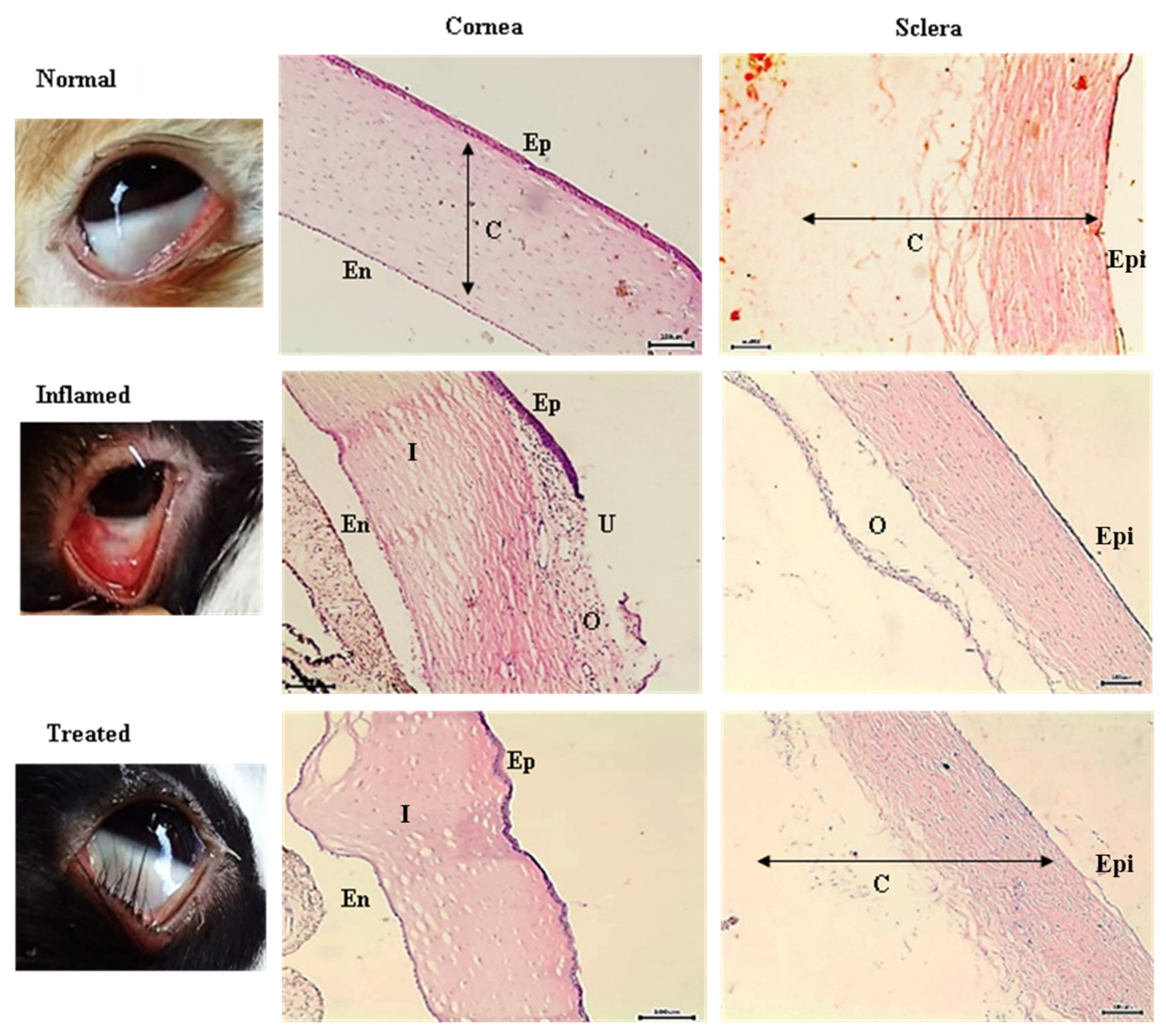 Pharmaceutics 14 00893 g006 Pharmaceutics 14 00893 g006