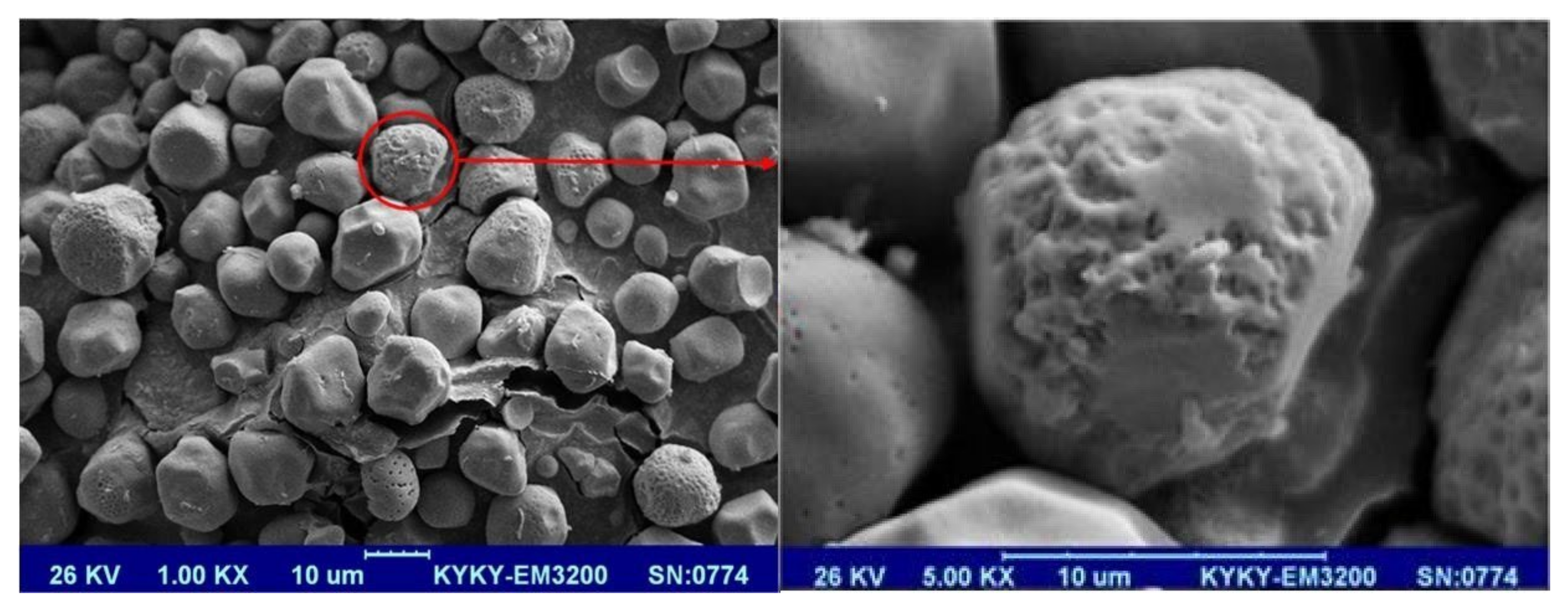 Pharmaceutics 14 00895 g002