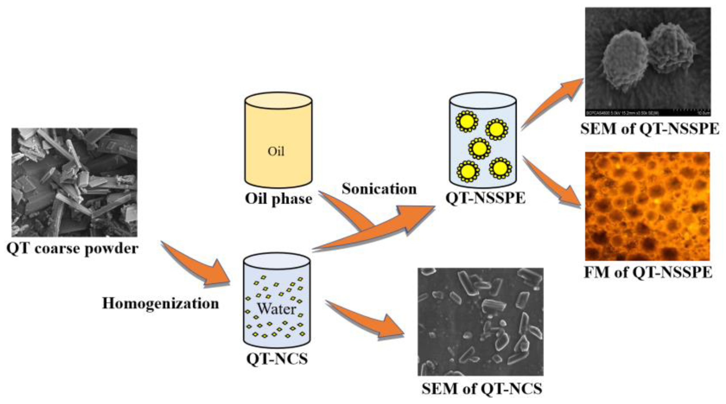 Pharmaceutics 14 00897 g001
